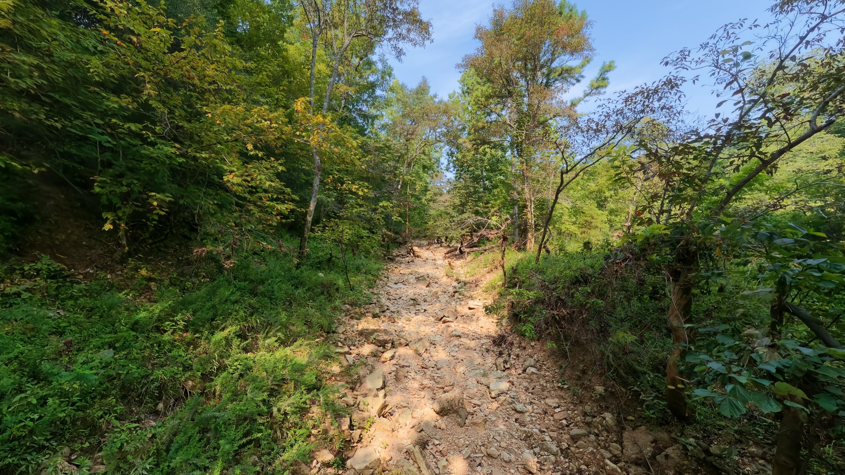 000 County Road 2661 Property Photo 16