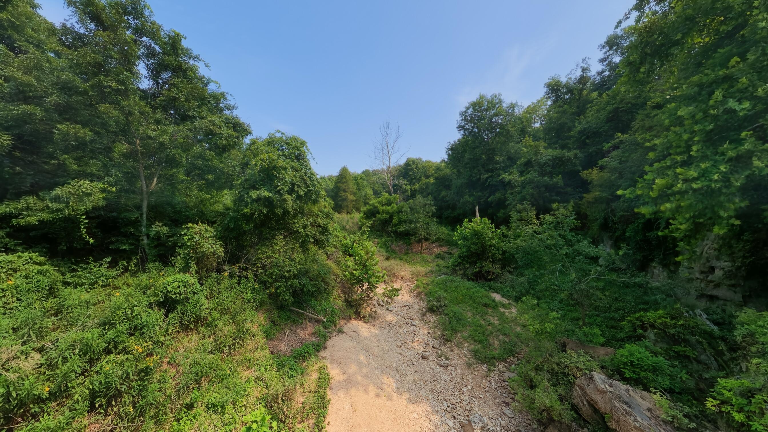 000 County Road 2661 Property Photo 20