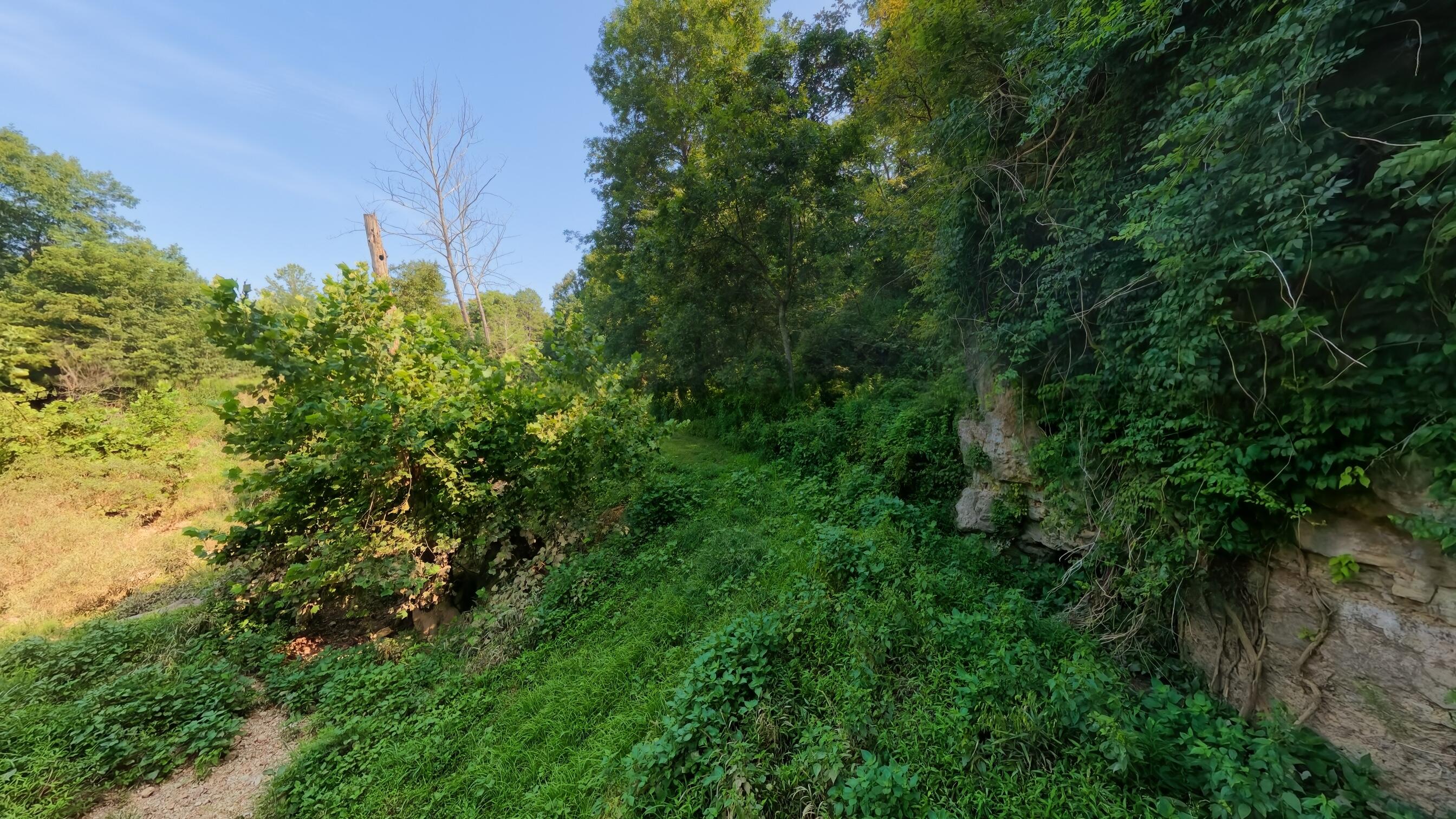 000 County Road 2661 Property Photo 31