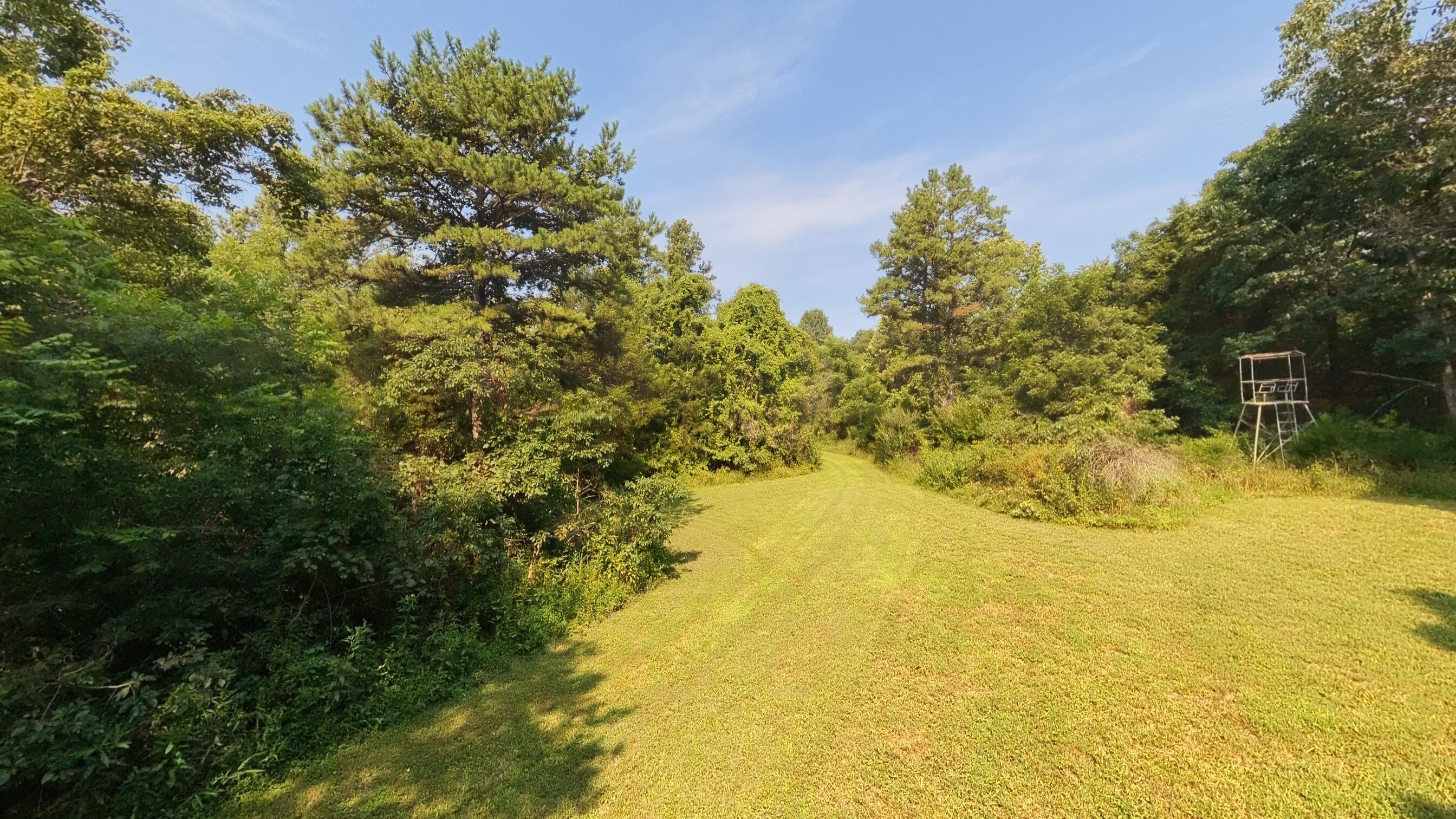 000 County Road 2661 Property Photo 33