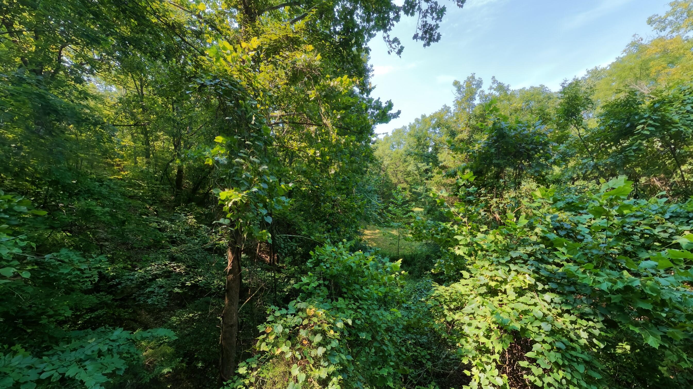 000 County Road 2661 Property Photo 39