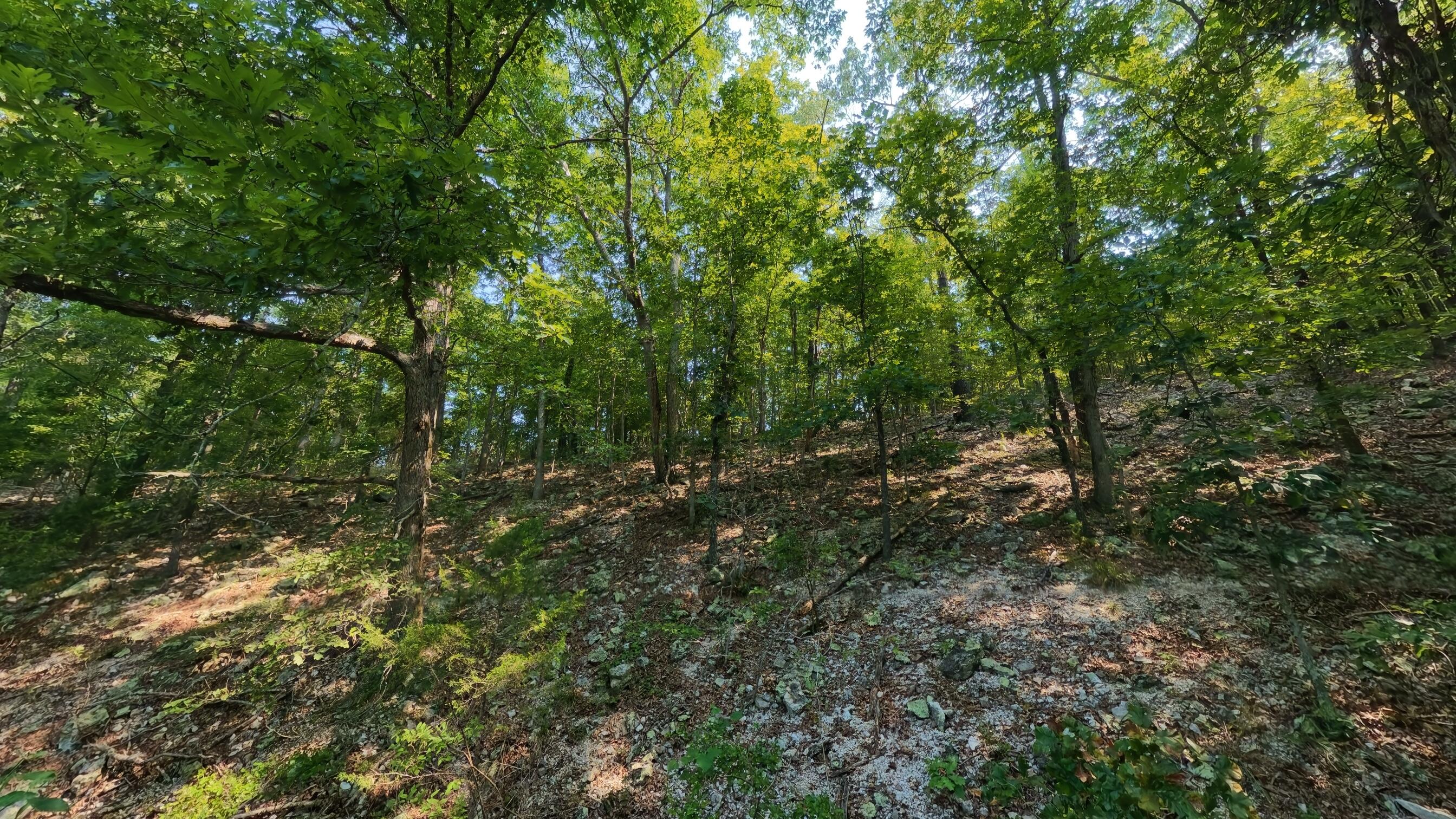 000 County Road 2661 Property Photo 40