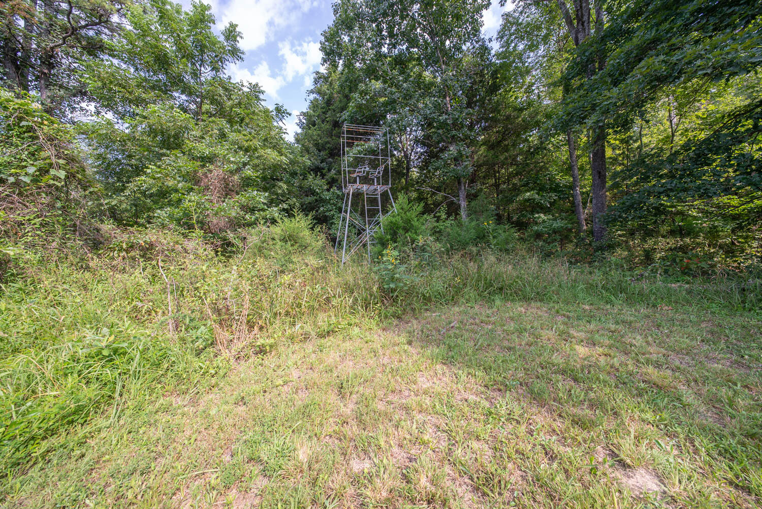 000 County Road 2661 Property Photo 41