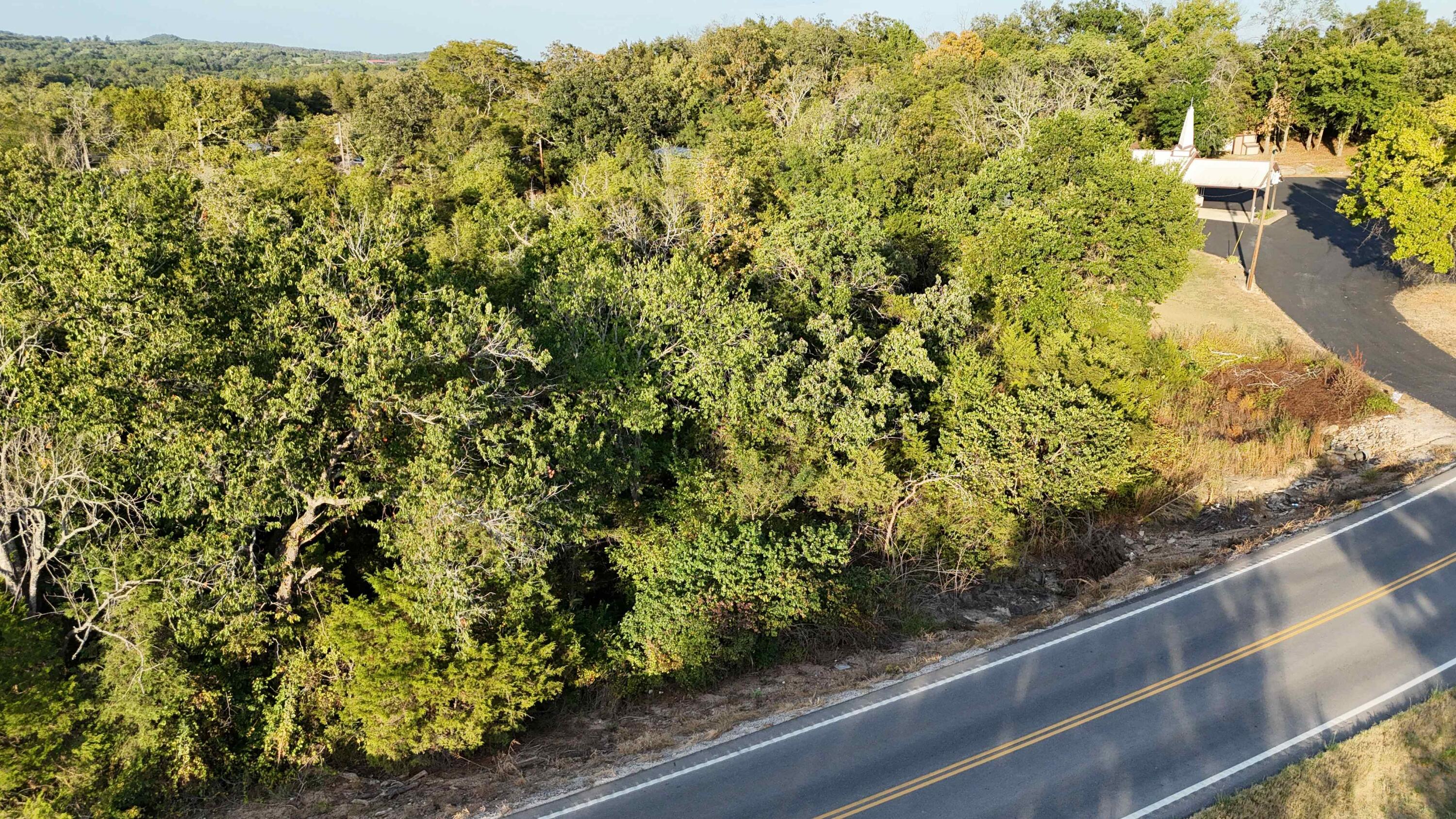 Lot 13 State Highway 86 Property Photo 2