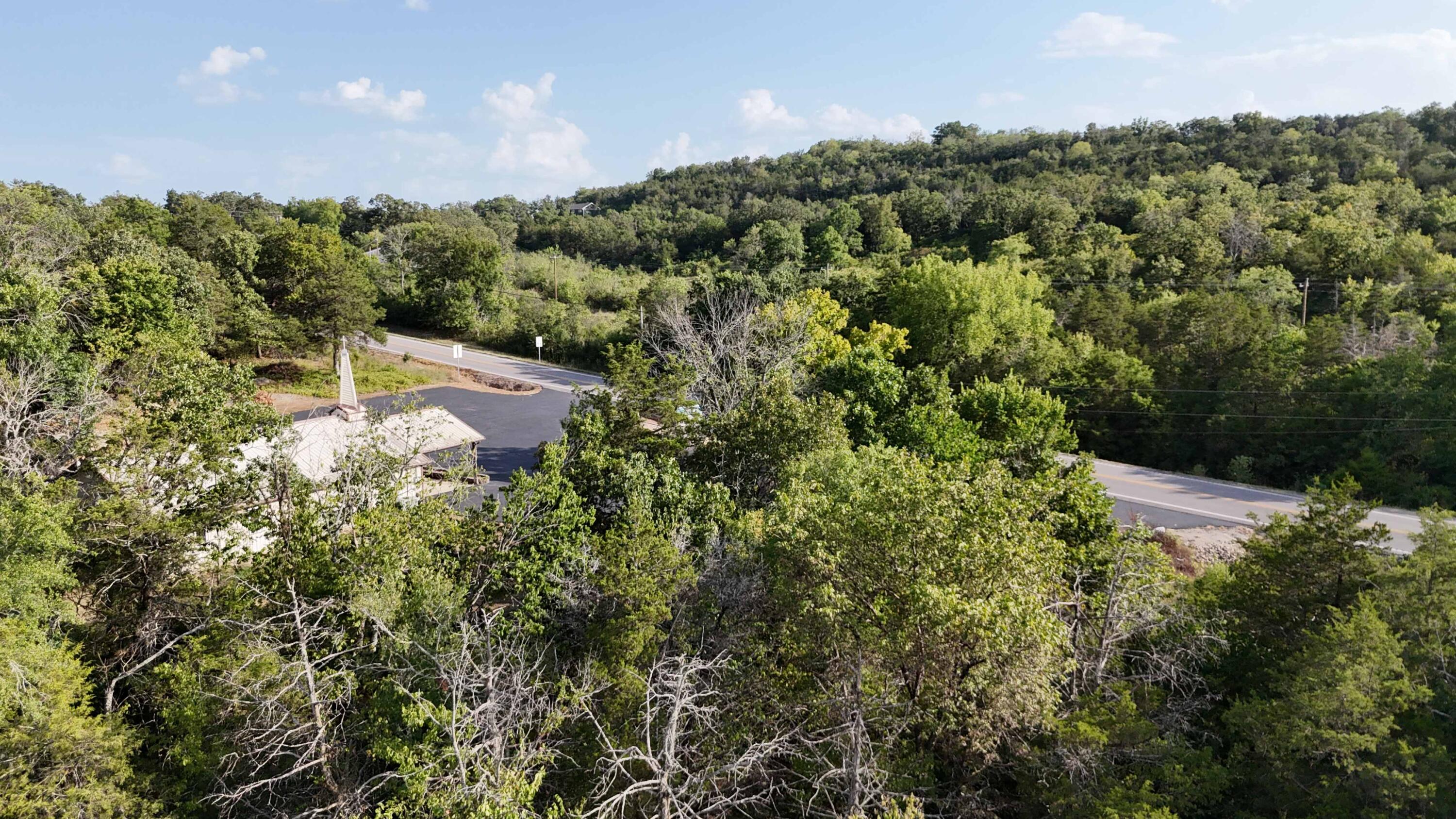 Lot 13 State Highway 86 Property Photo 3