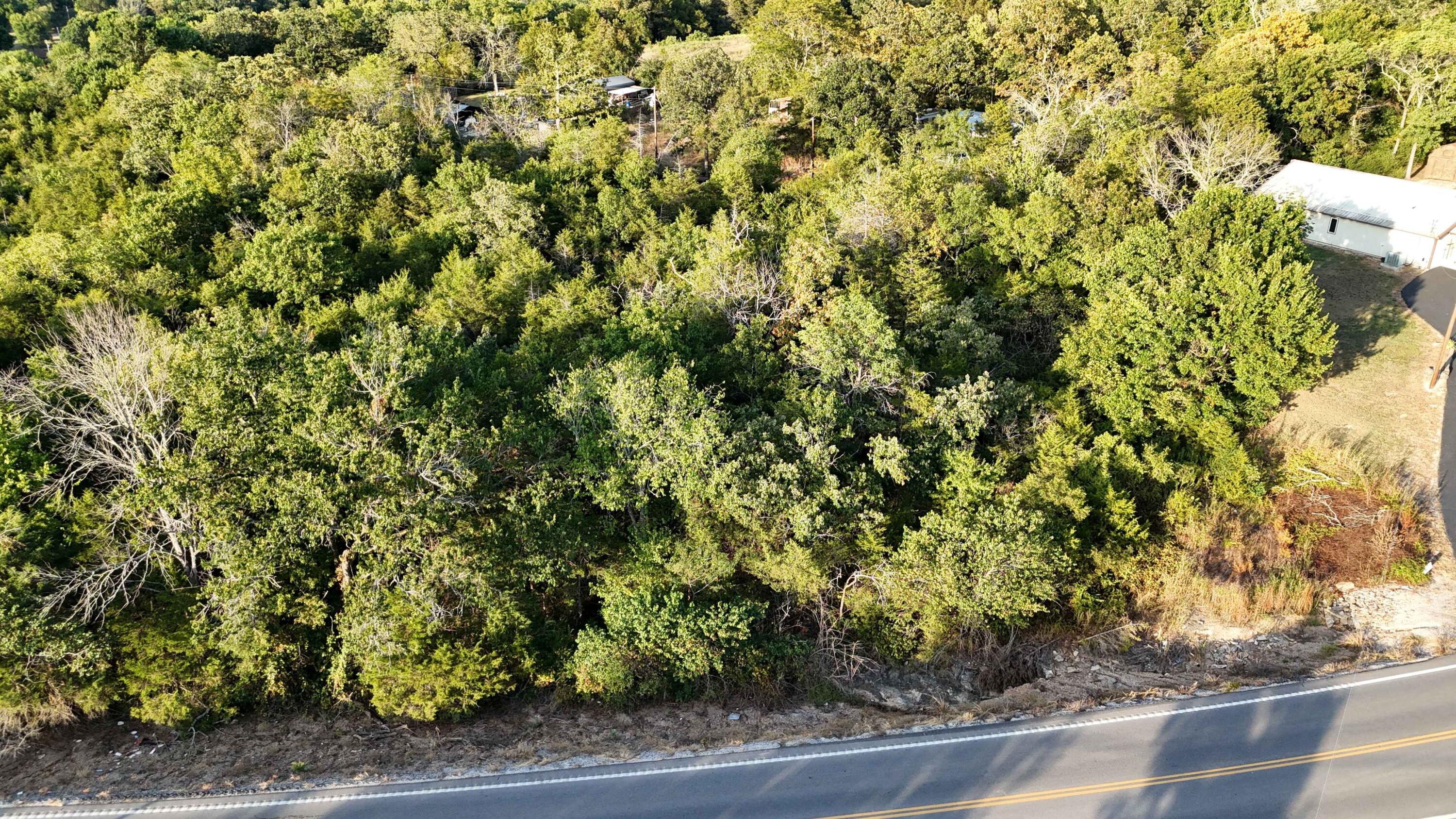 Lot 13 State Highway 86 Property Photo 4