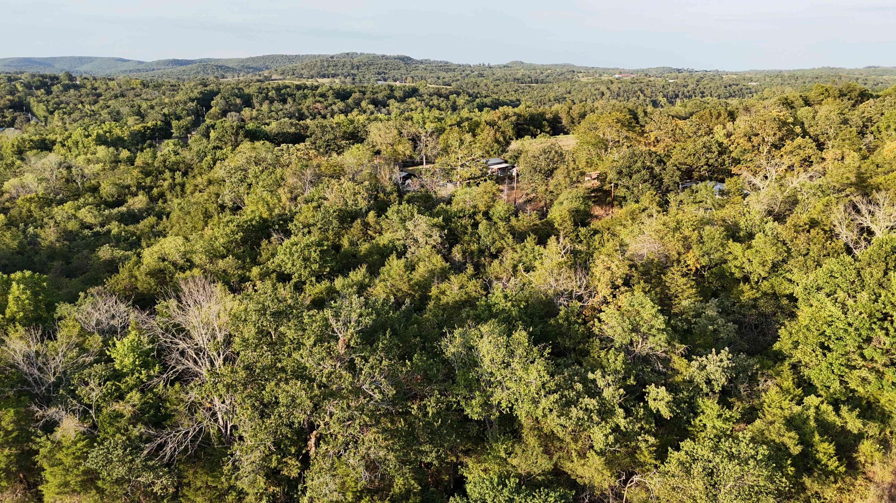 Lot 13 State Highway 86 Property Photo 5