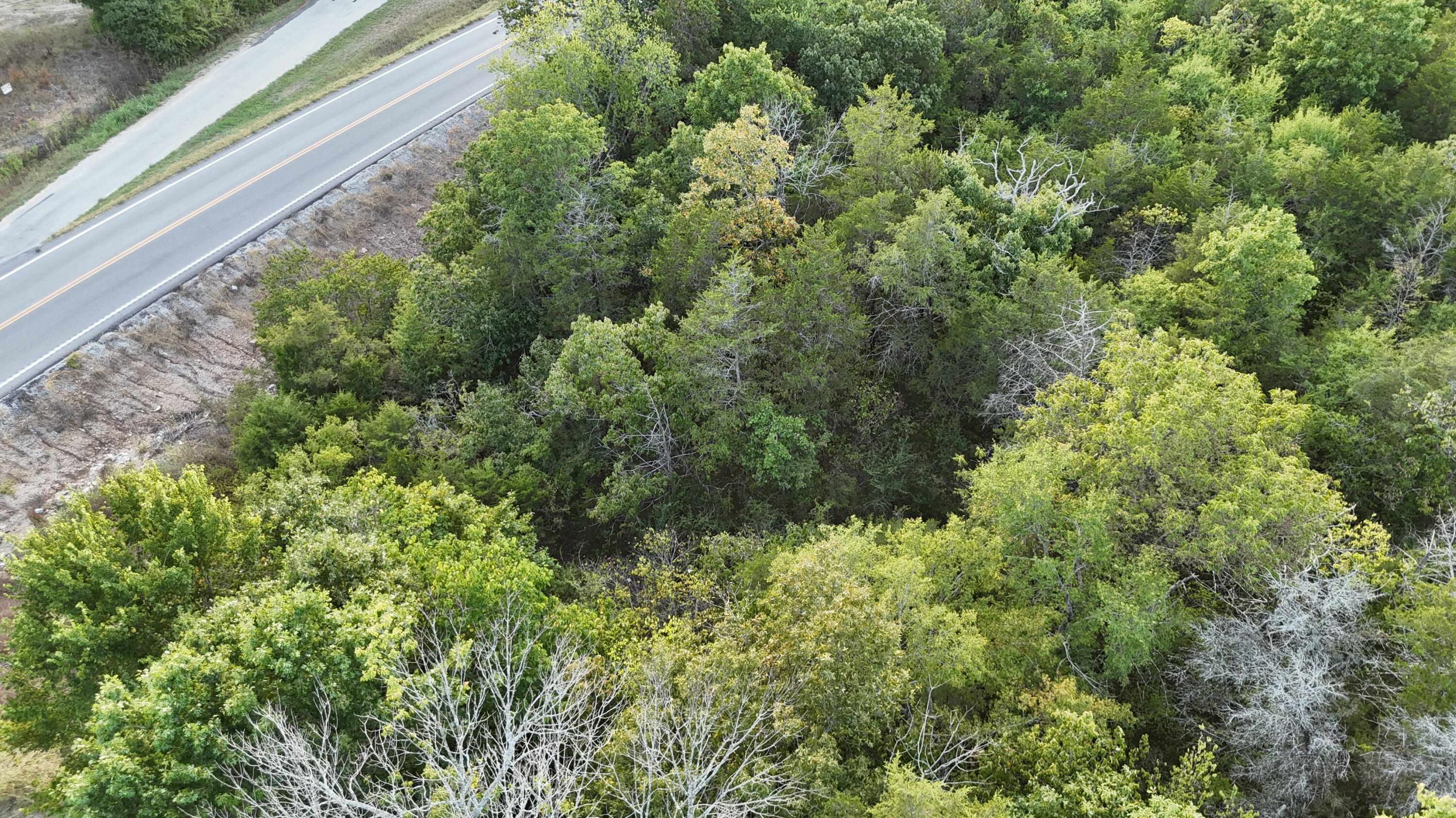 Lot 13 State Highway 86 Property Photo 7
