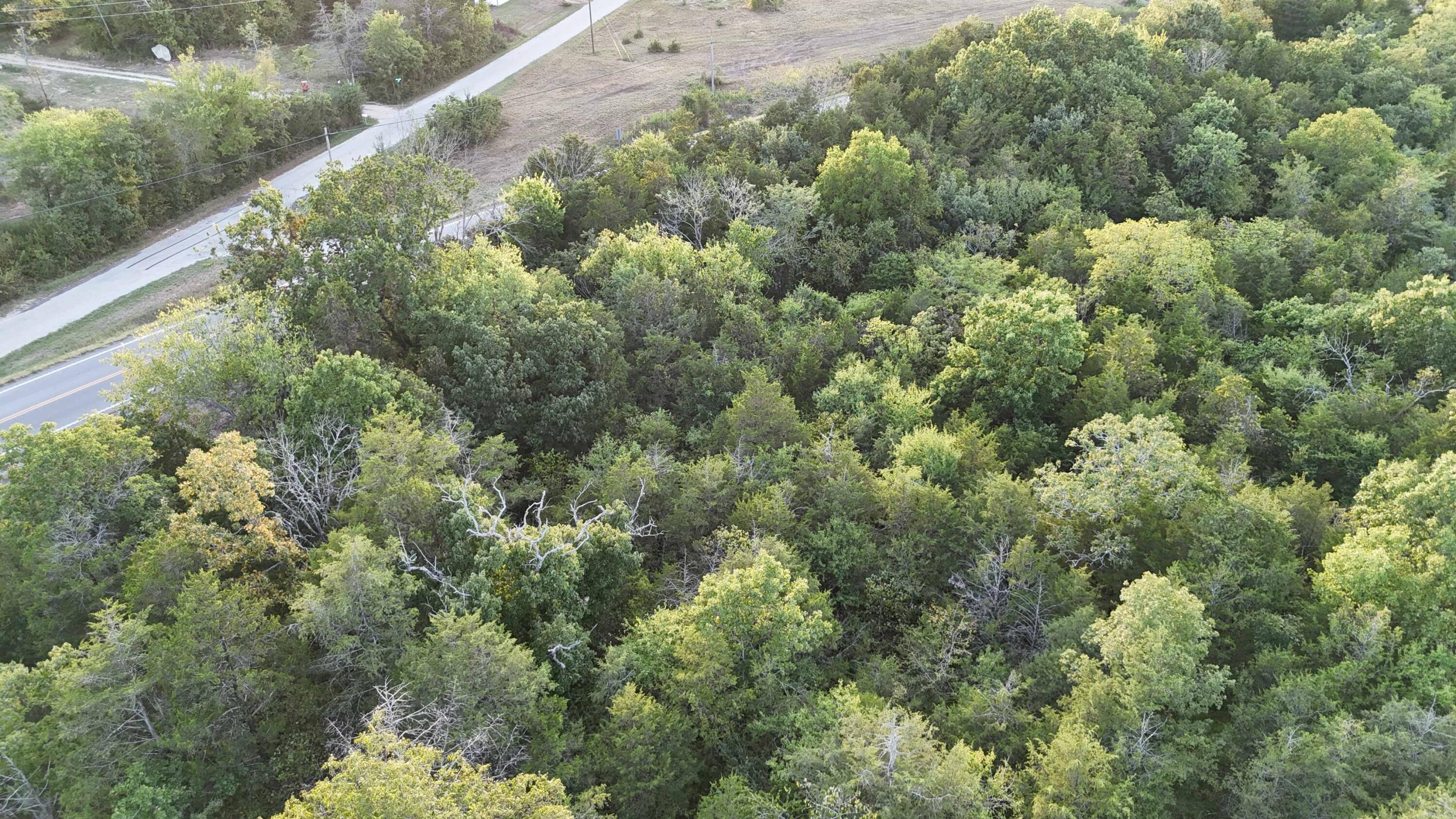 Lot 13 State Highway 86 Property Photo 8