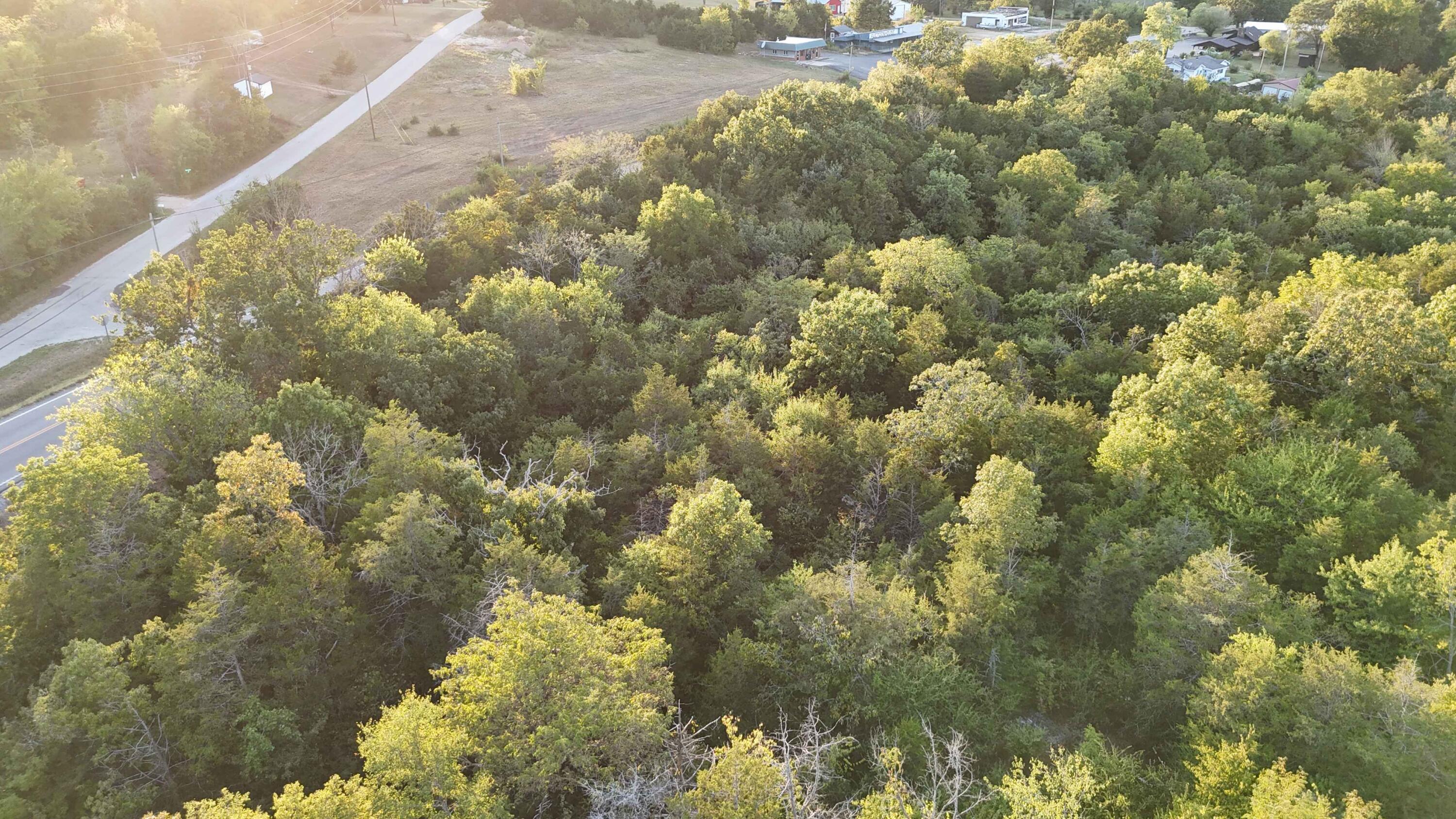 Lot 13 State Highway 86 Property Photo 9