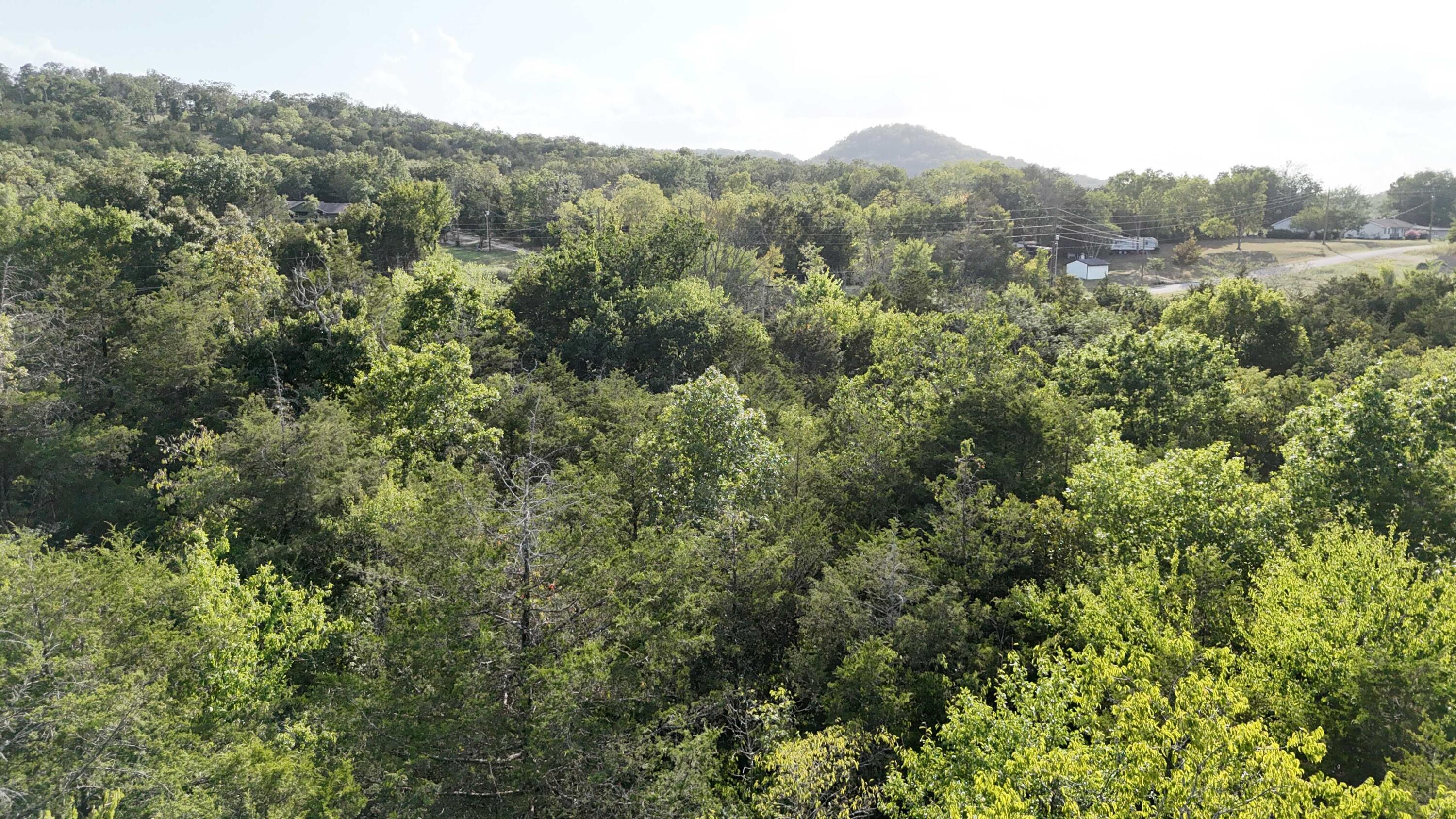 Lot 13 State Highway 86 Property Photo 10