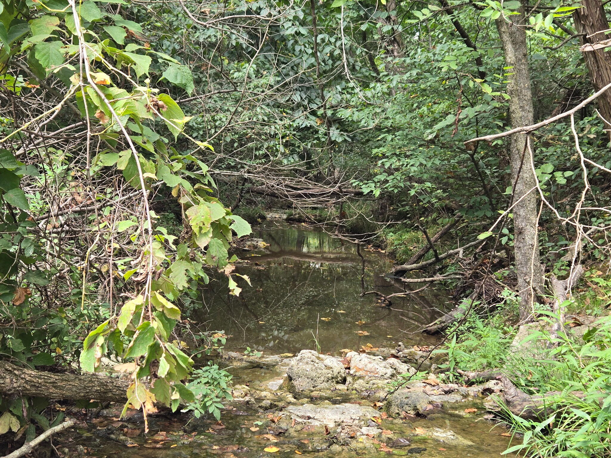 00 Hico Road Property Photo 2