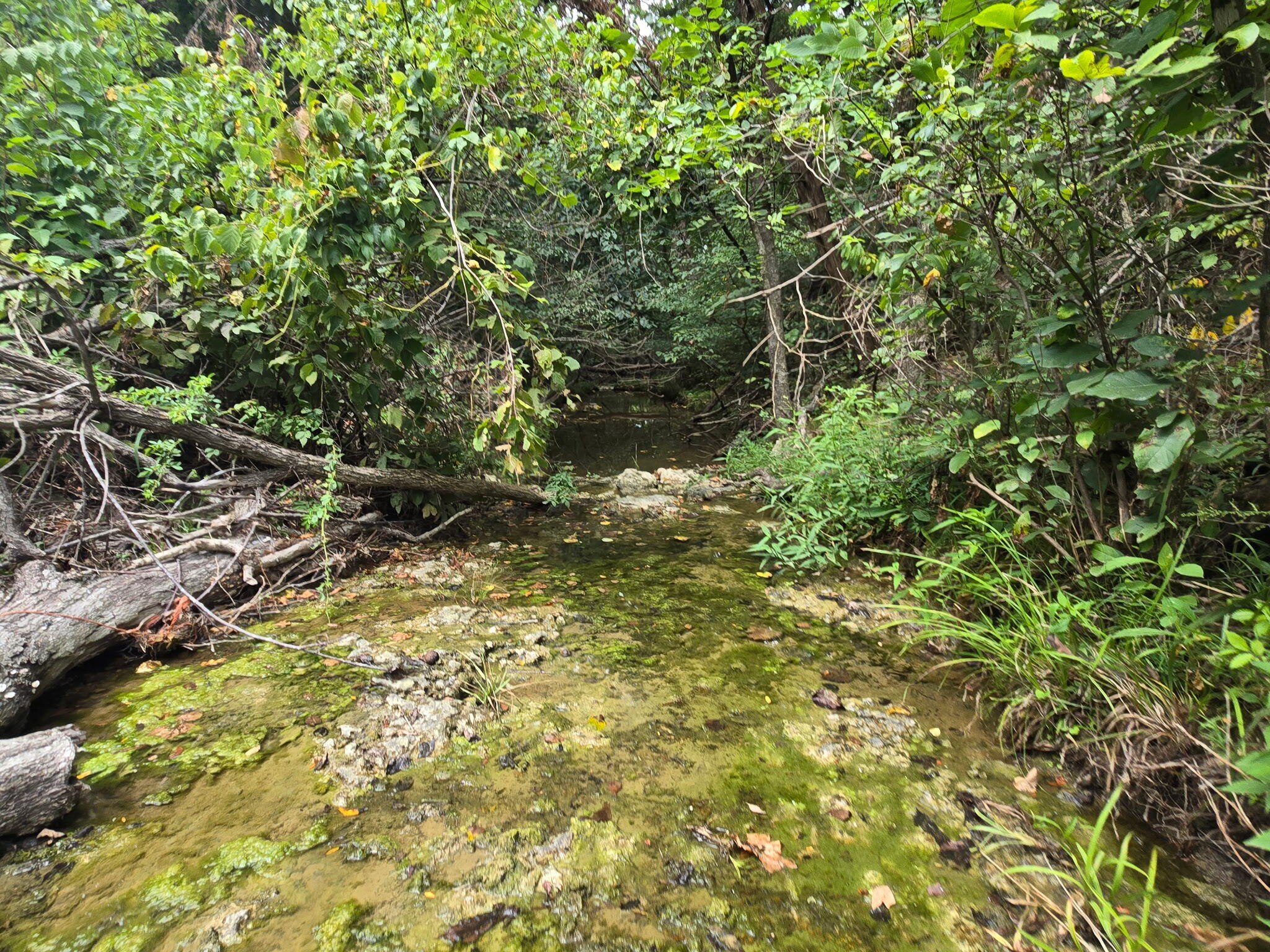 00 Hico Road Property Photo 3