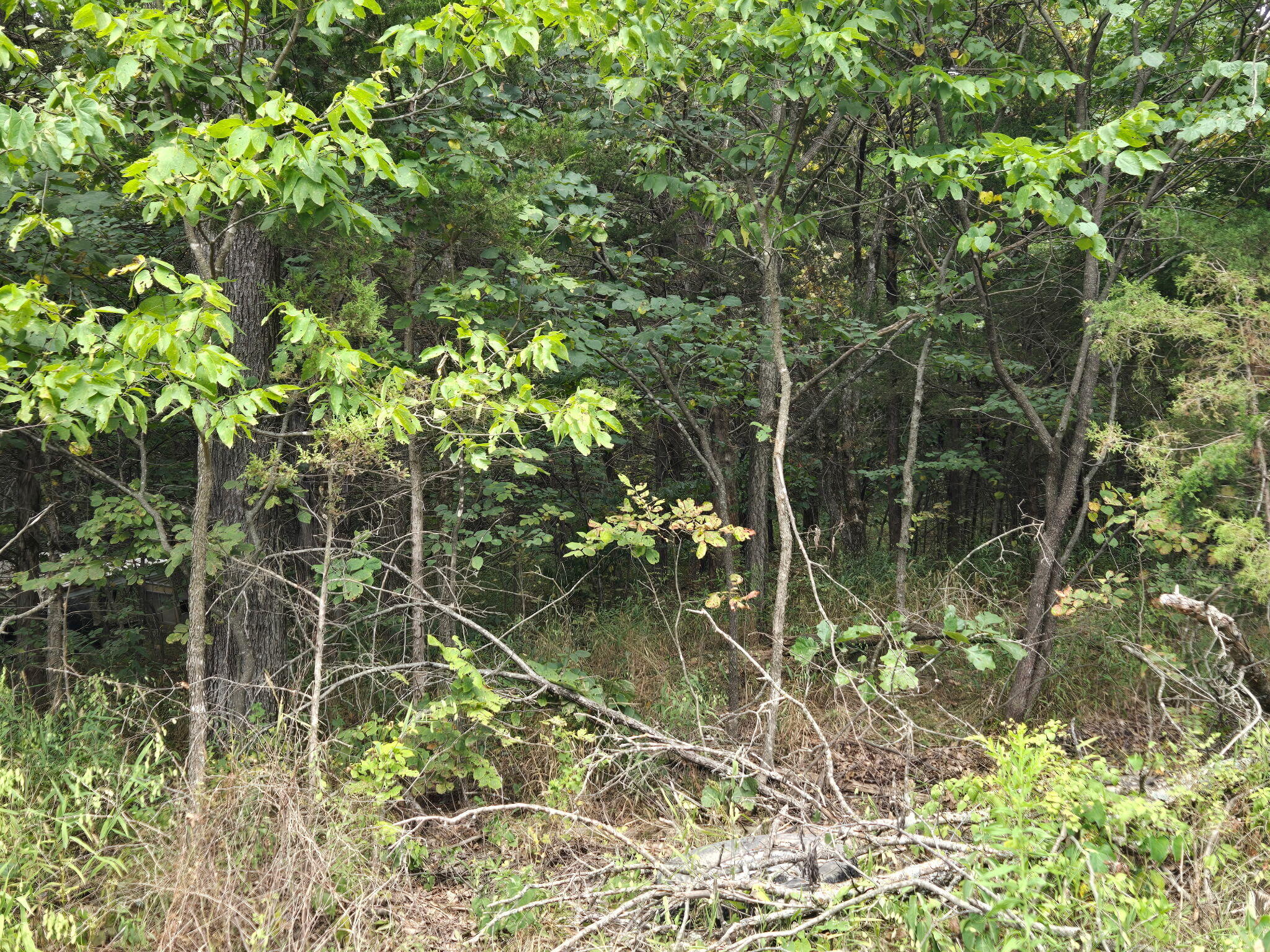 00 Hico Road Property Photo 11