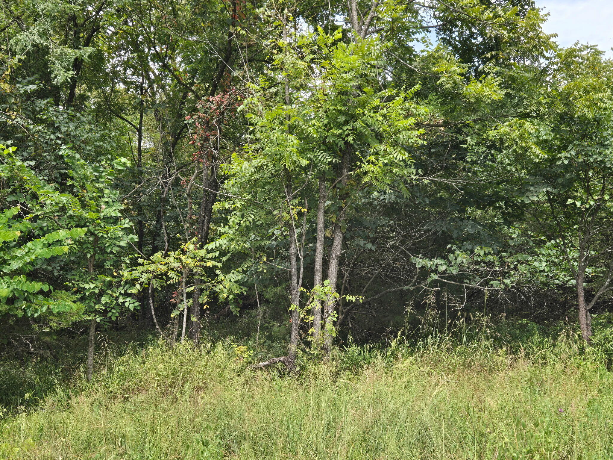 00 Hico Road Property Photo 13