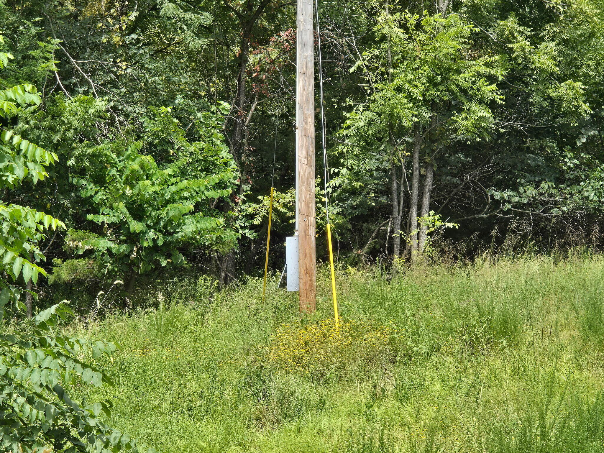 00 Hico Road Property Photo 14