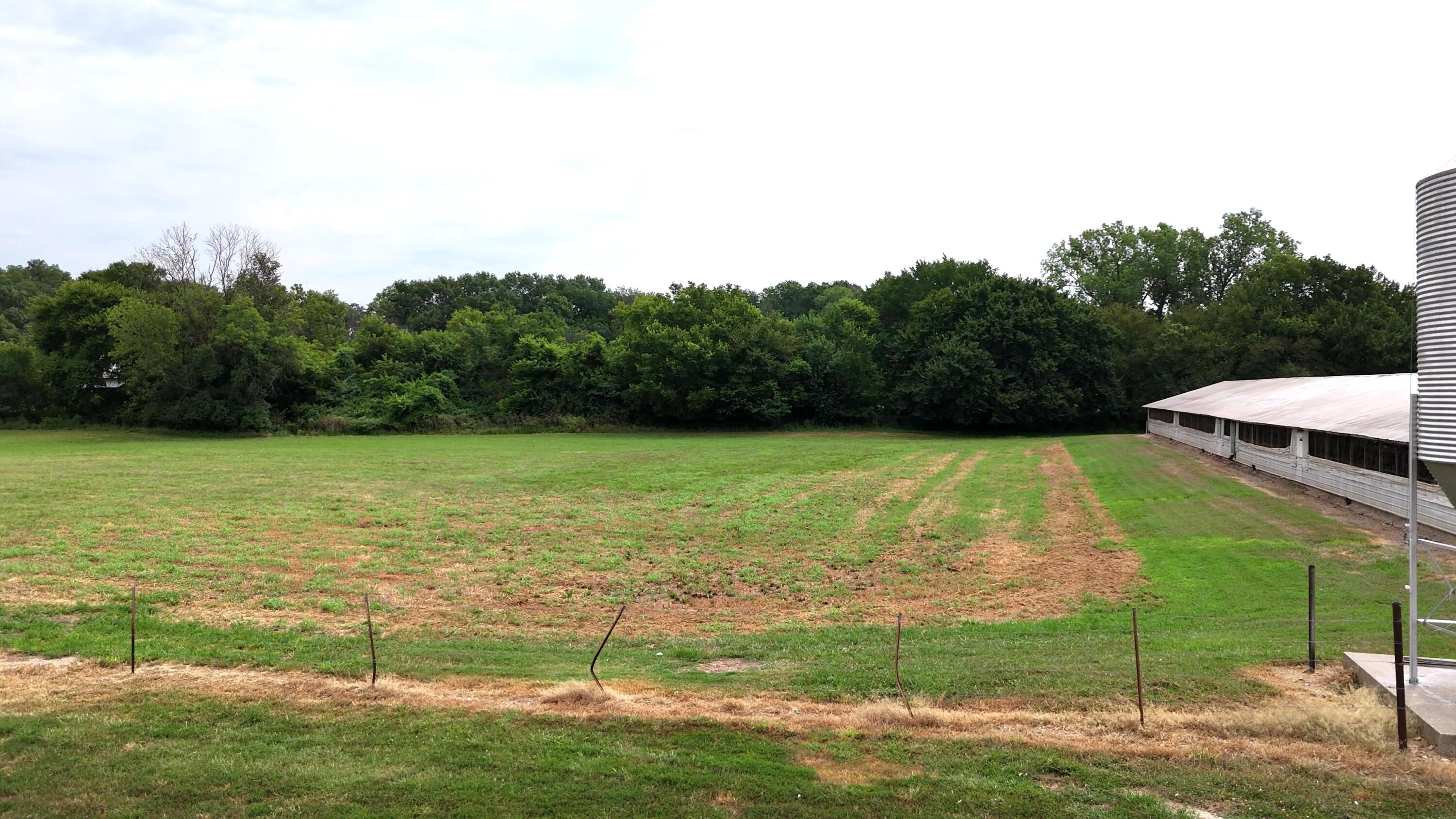 11477 North Blackberry Road Property Photo 33