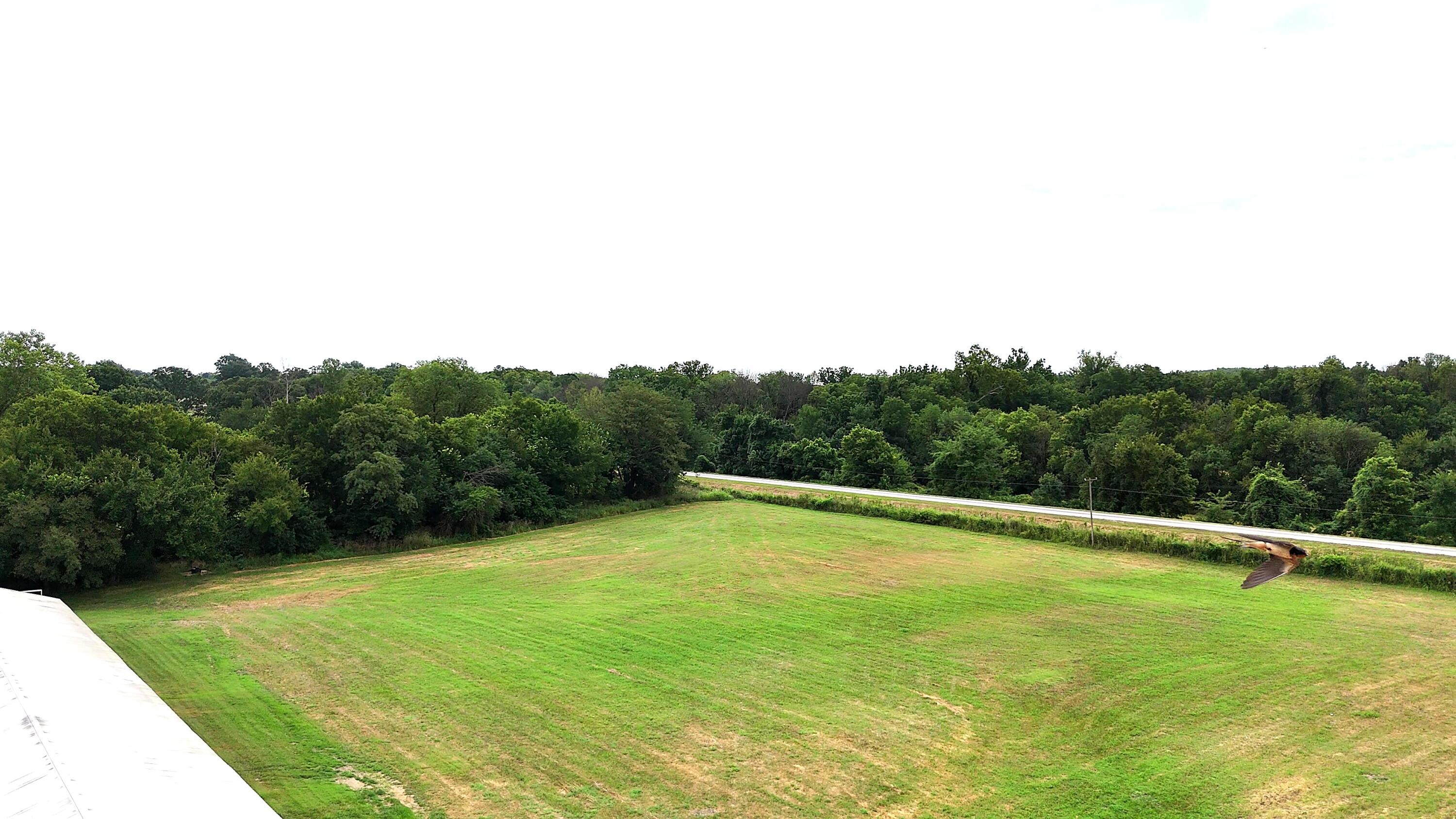 11477 North Blackberry Road Property Photo 39