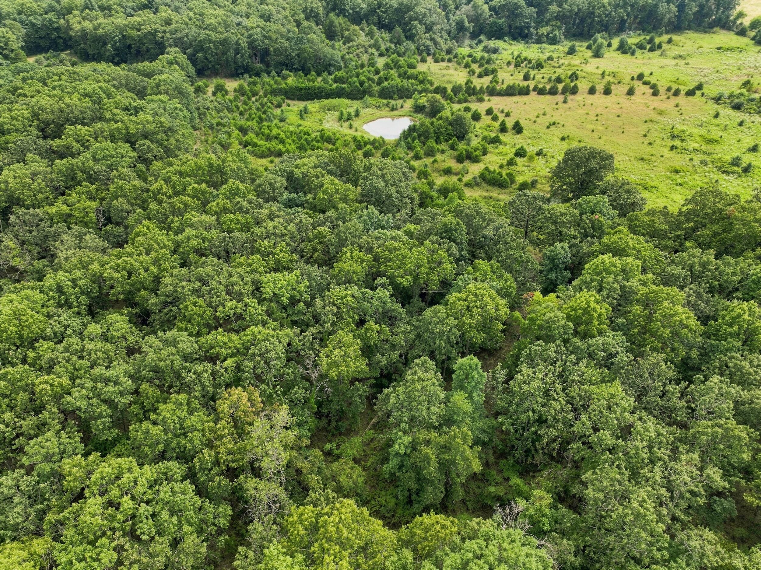 6182 County Road 2350 Property Photo 10