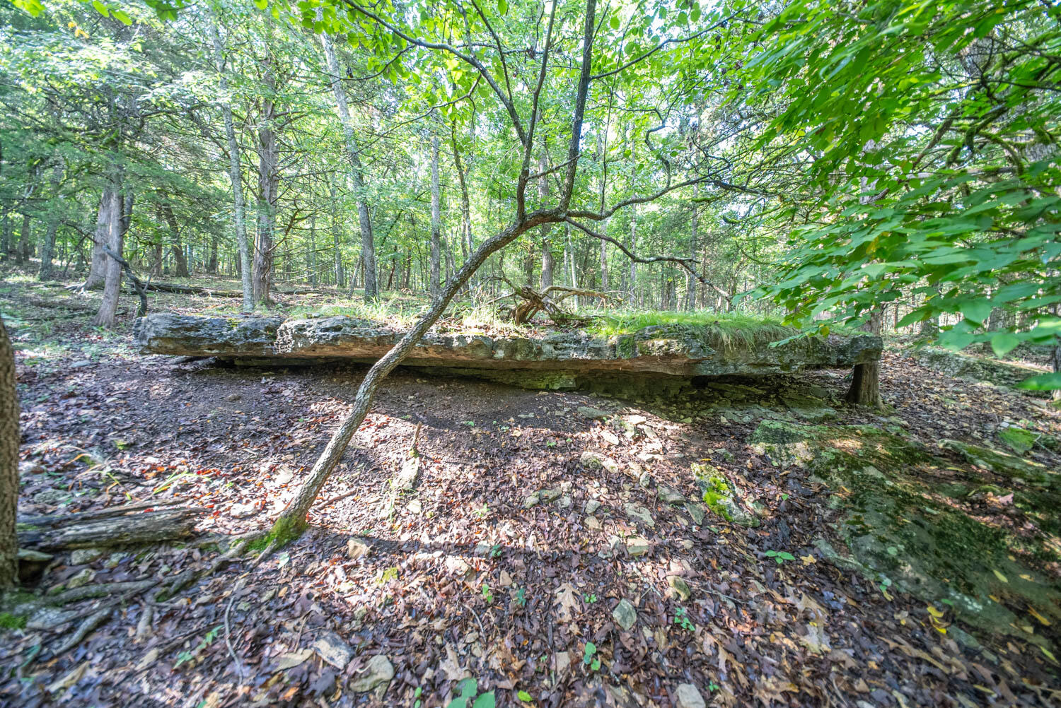 000 County Road 477 Property Photo 3
