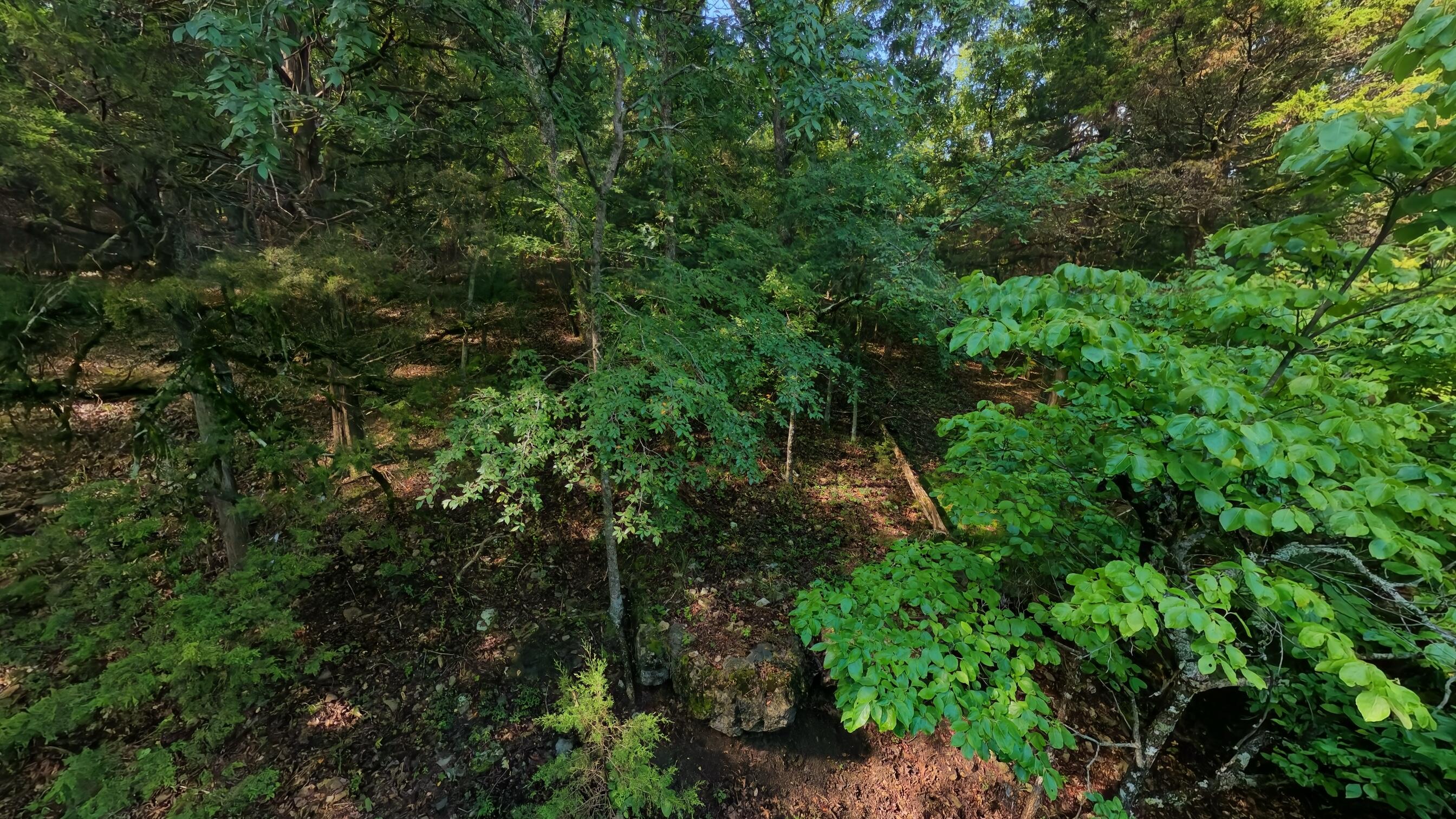 000 County Road 477 Property Photo 6