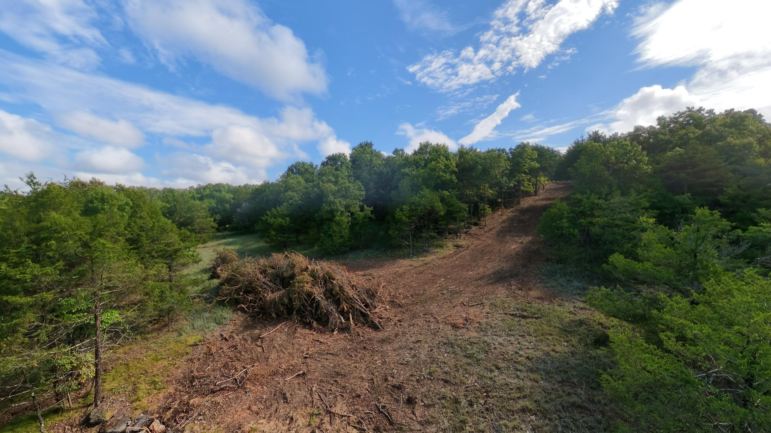 000 County Road 477 Property Photo 10