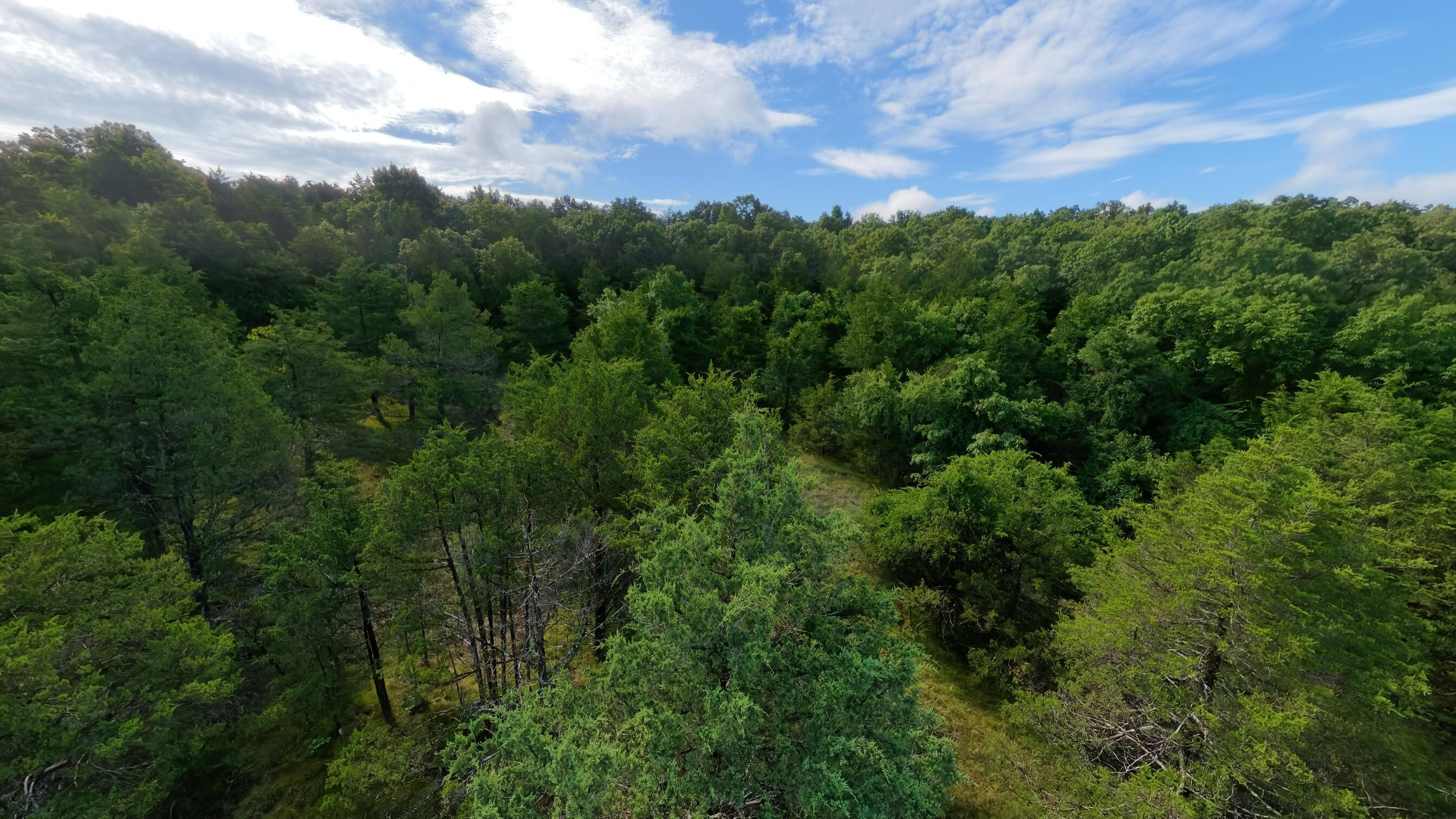 000 County Road 477 Property Photo 12