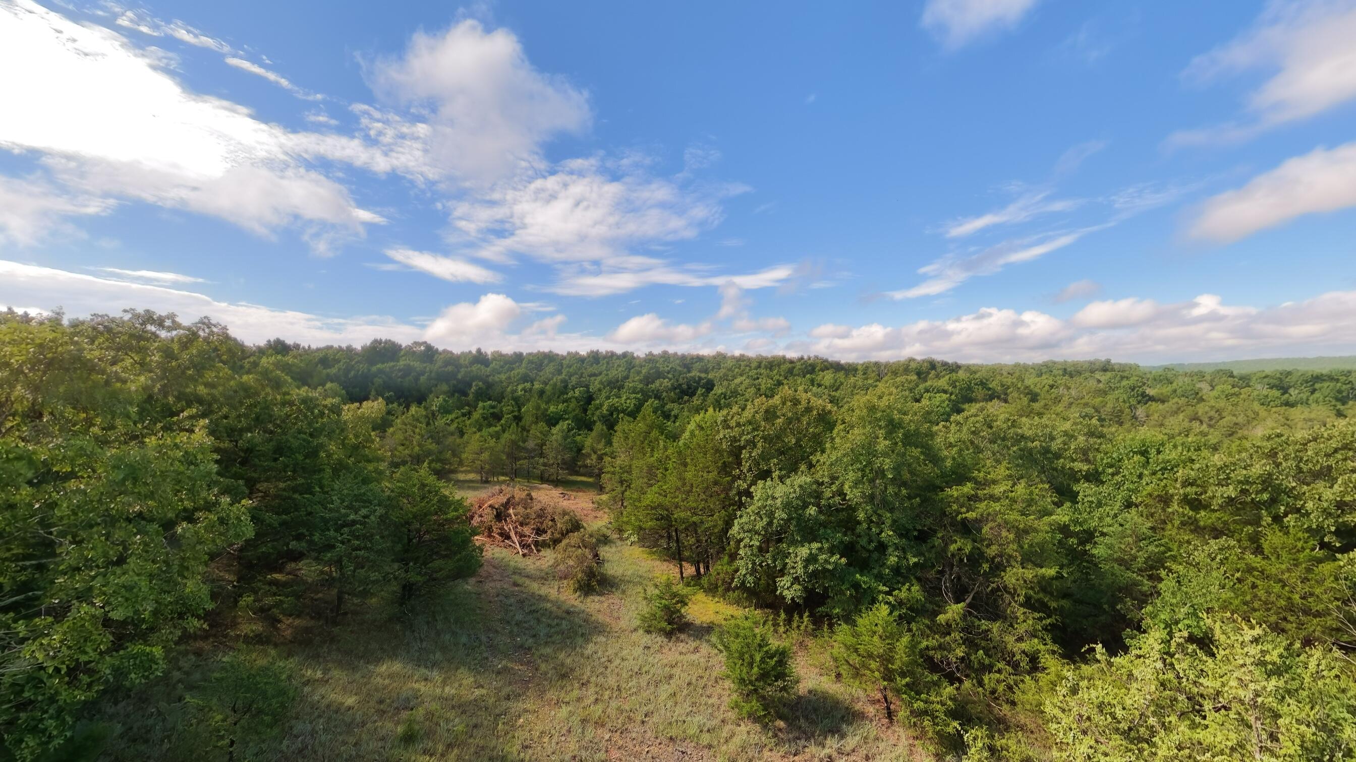 000 County Road 477 Property Photo 13