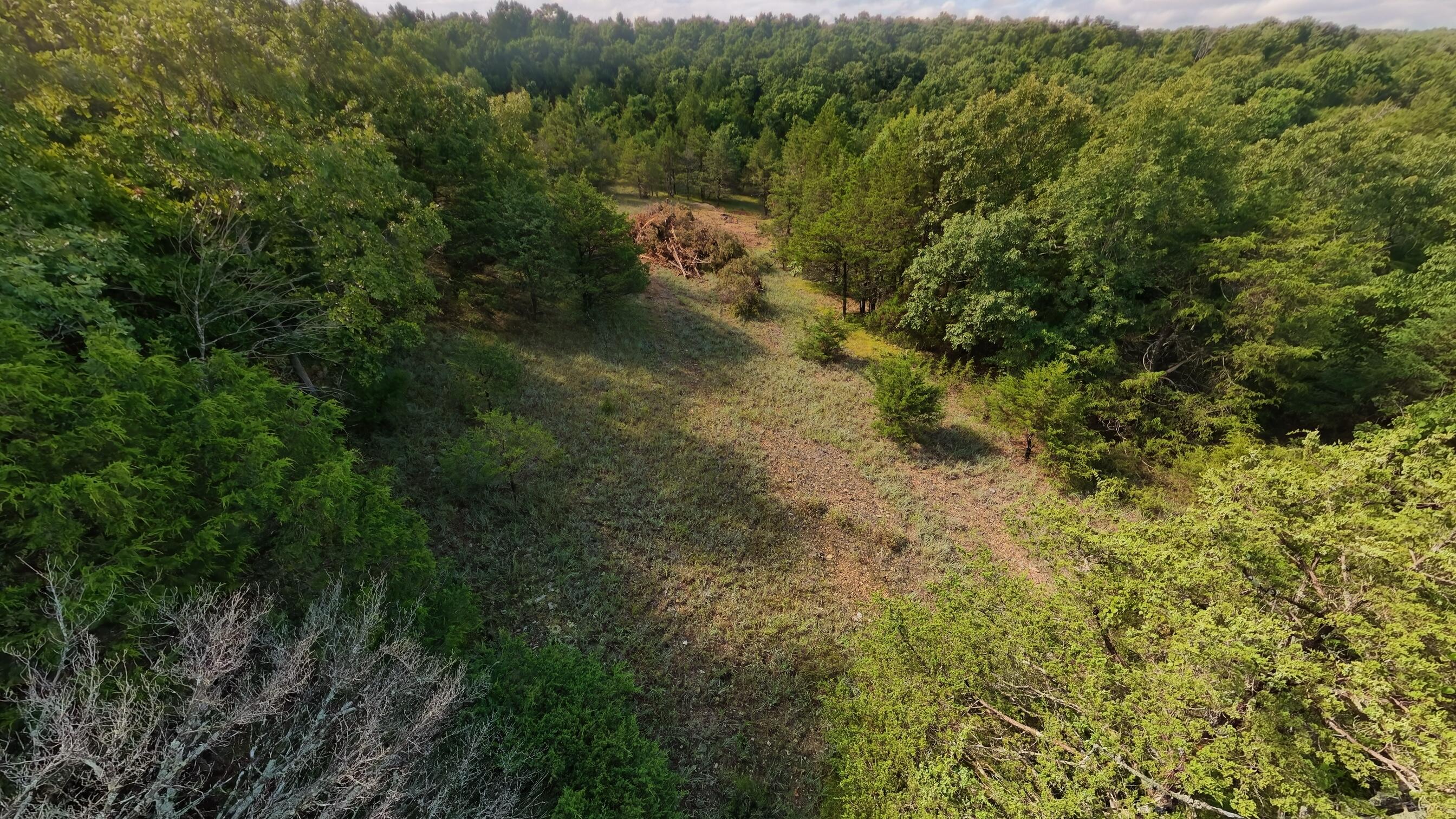 000 County Road 477 Property Photo 14