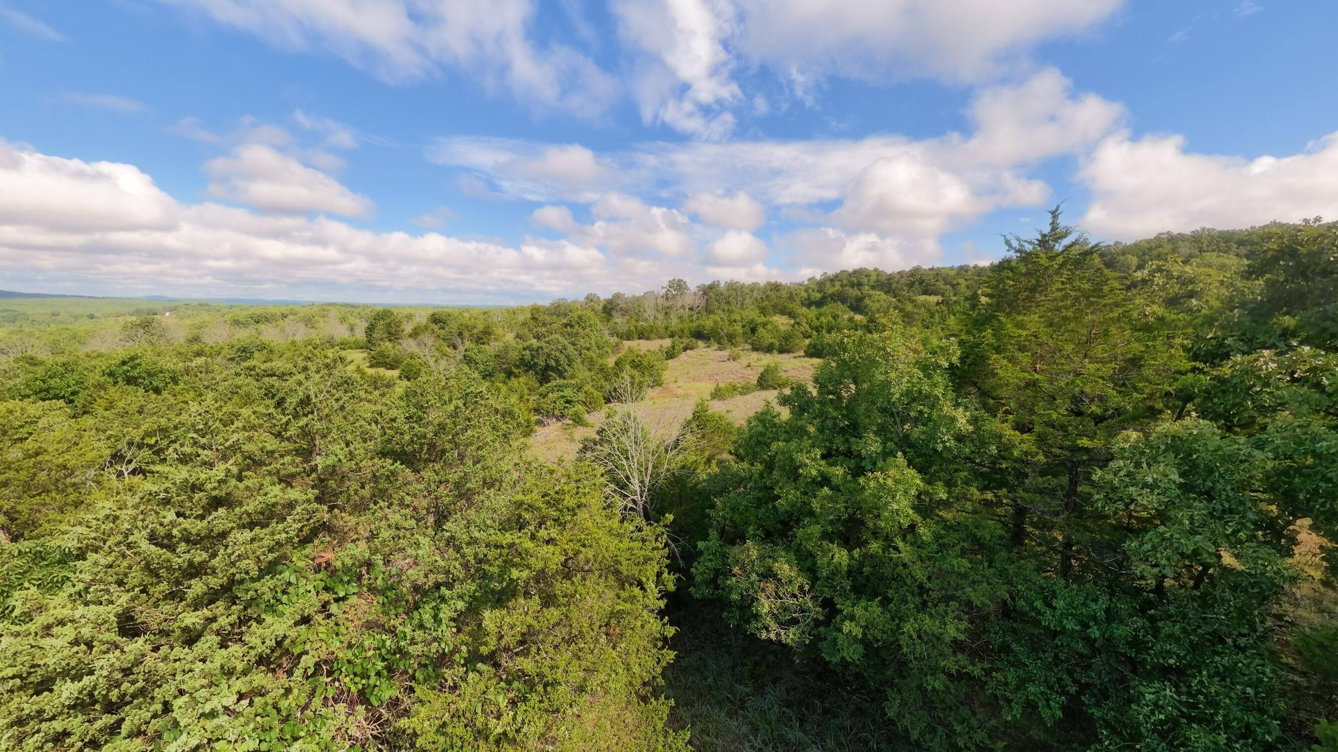 000 County Road 477 Property Photo 17