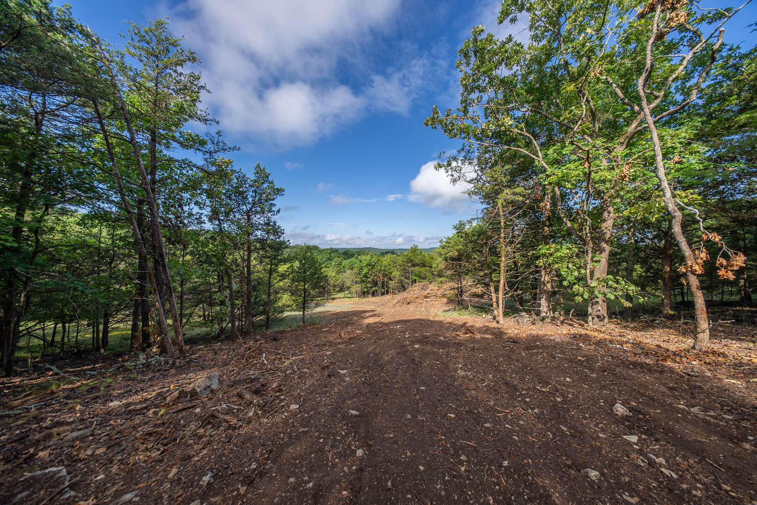 000 County Road 477 Property Photo 18