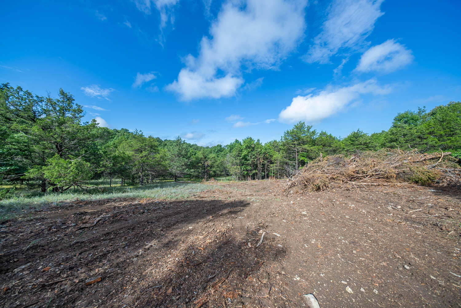 000 County Road 477 Property Photo 20