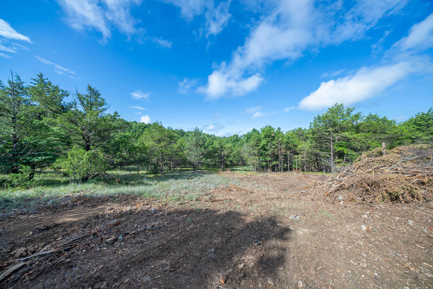 000 County Road 477 Property Photo 21