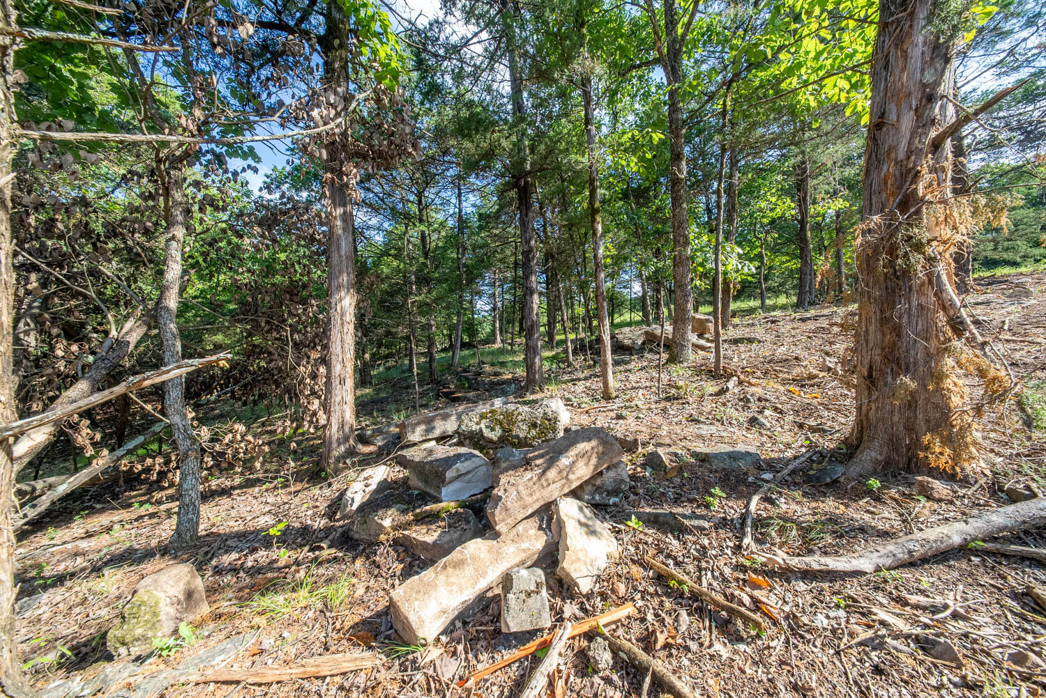 000 County Road 477 Property Photo 31