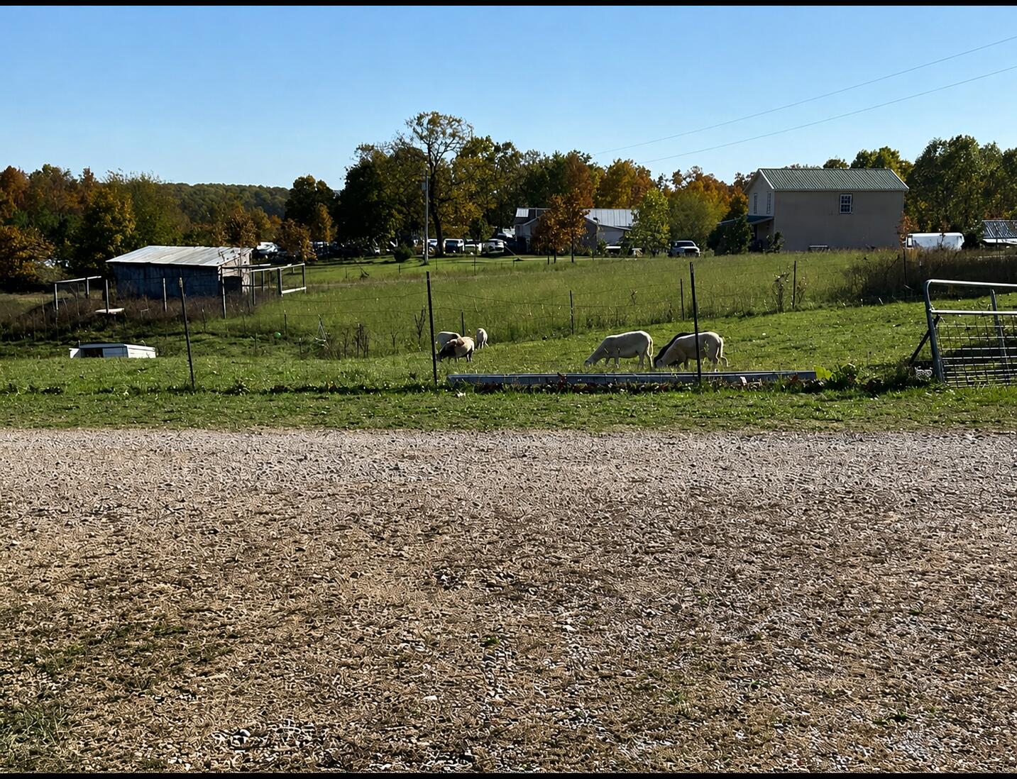# 4707 Private Road 5127 Property Photo 51