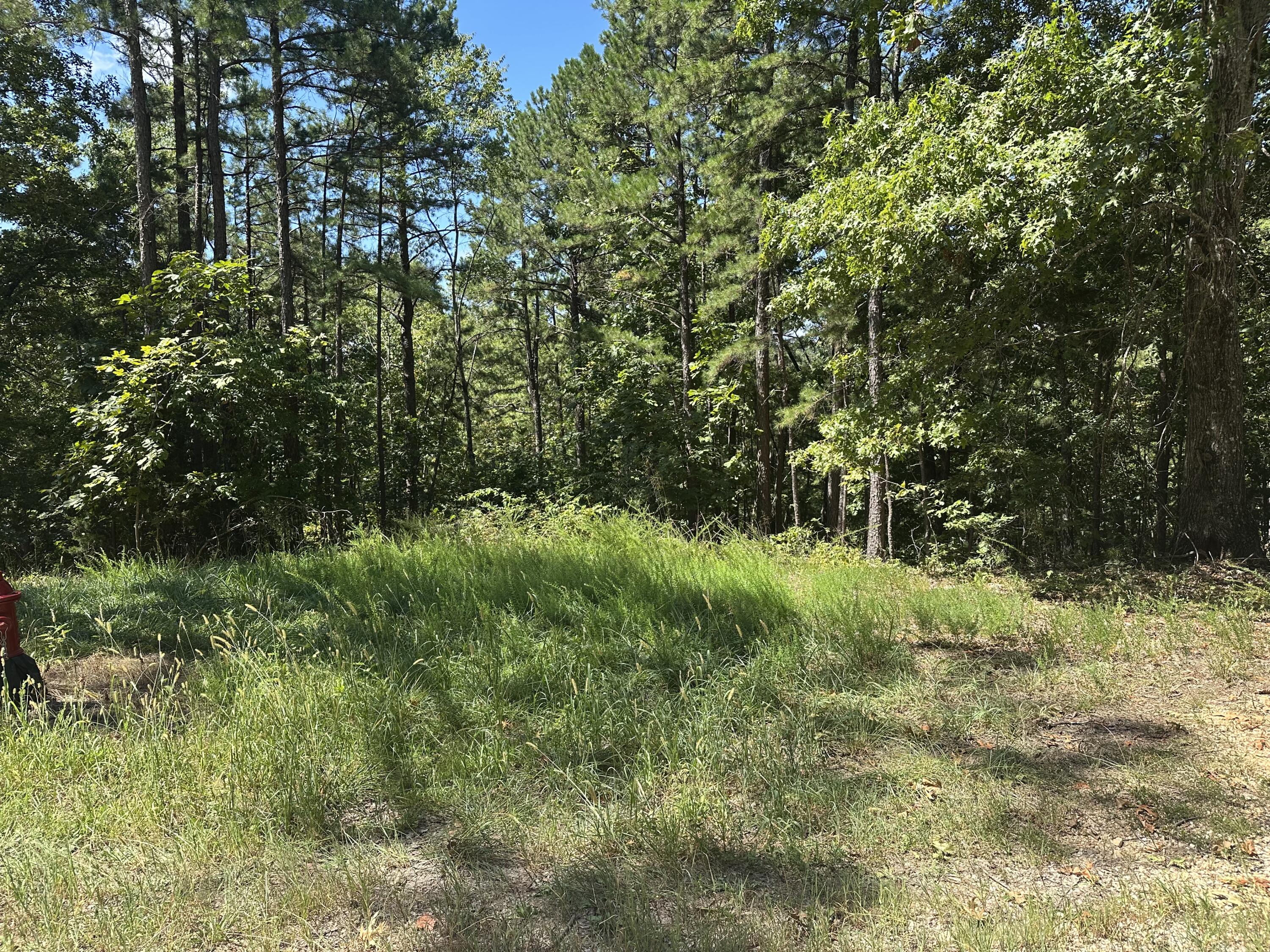 000 Payton Place Drive Property Photo 2