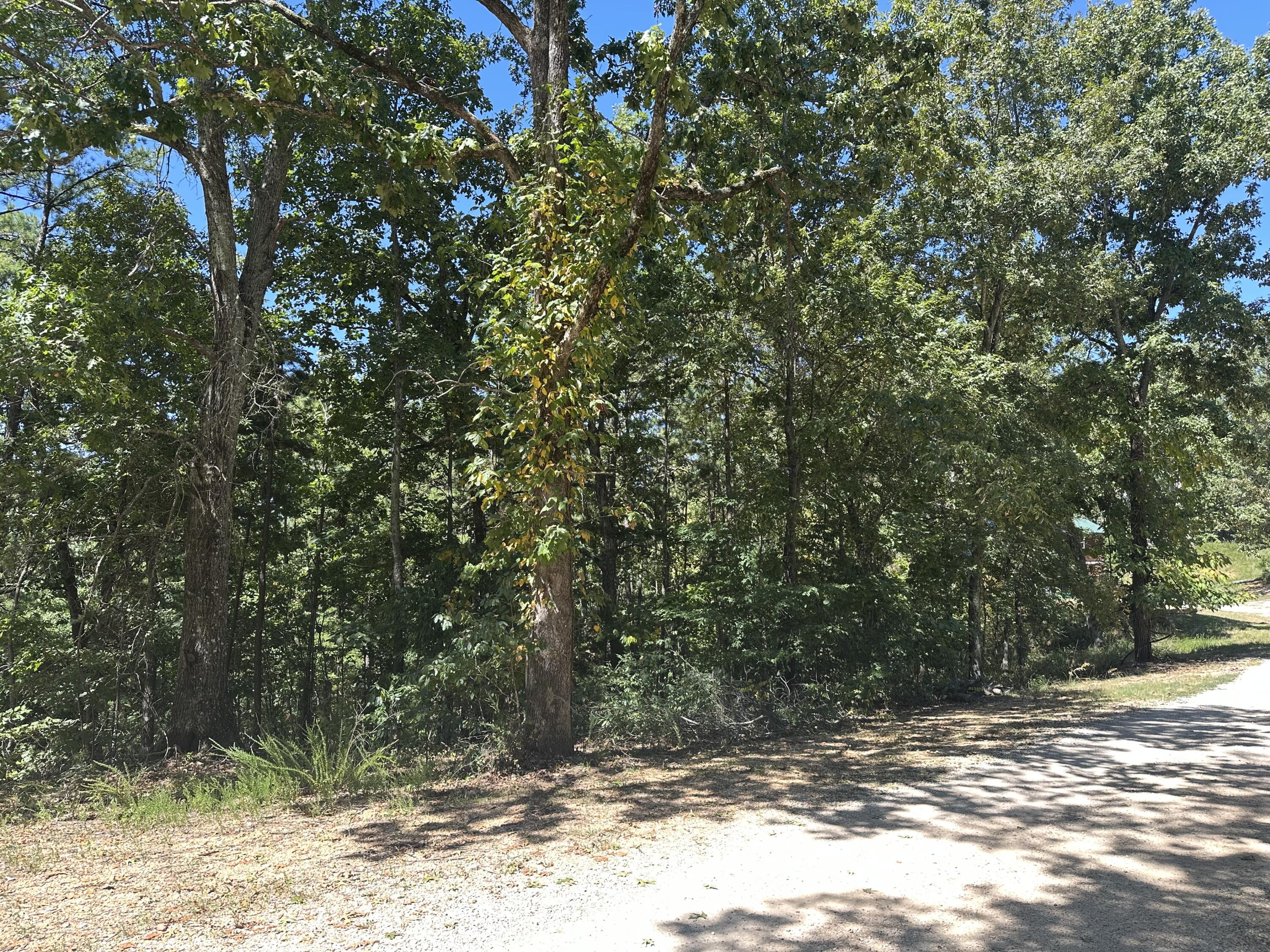 000 Payton Place Drive Property Photo 3
