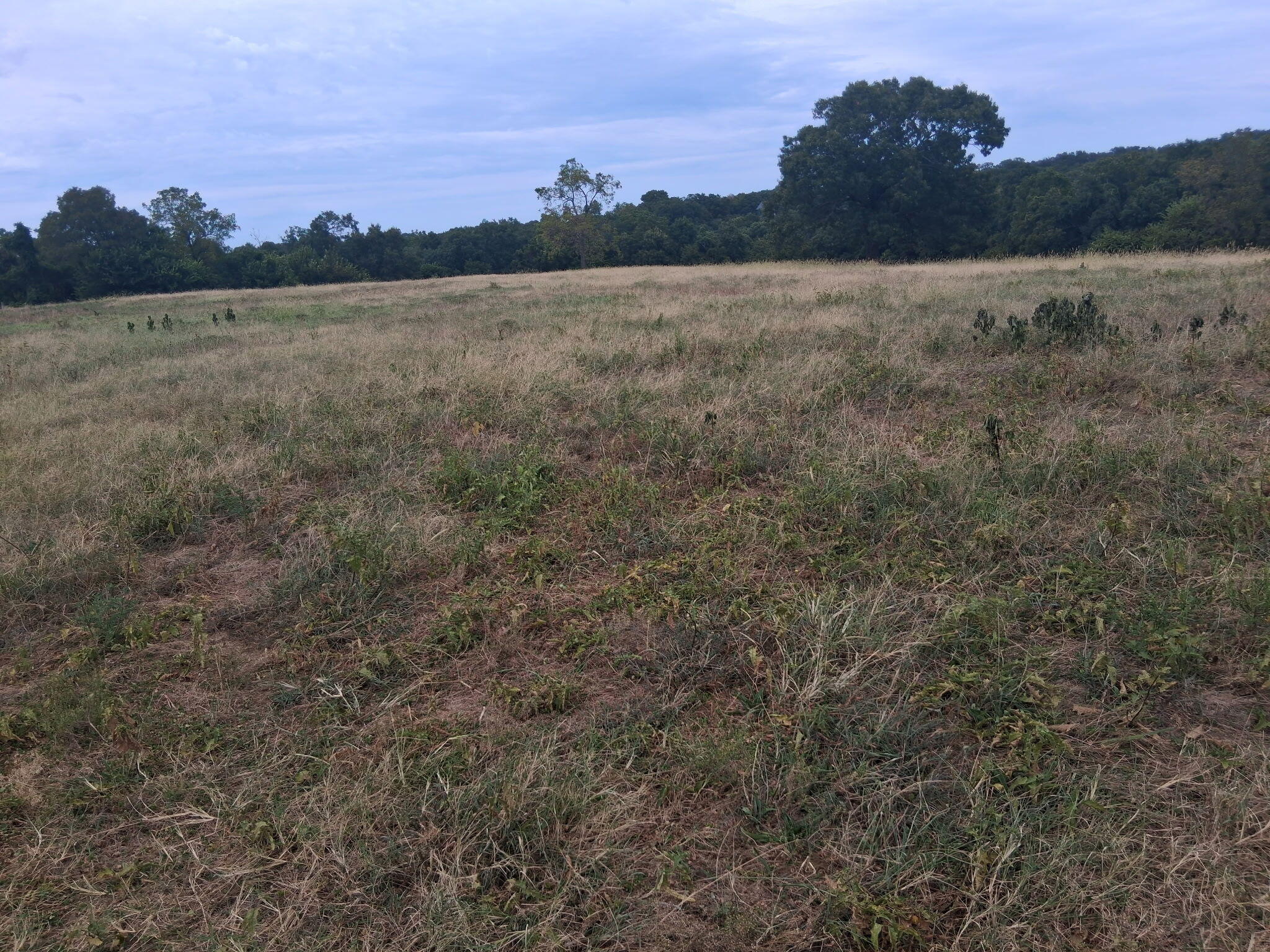 000 Tbd Property Photo 1