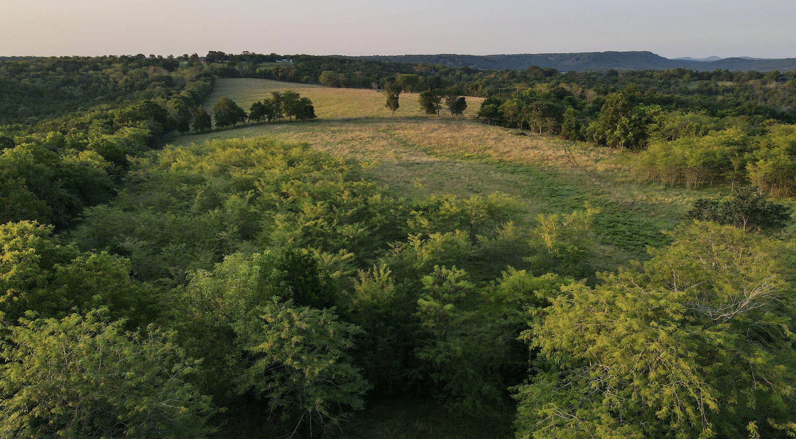 000 Quiet Acres Road Property Photo 11
