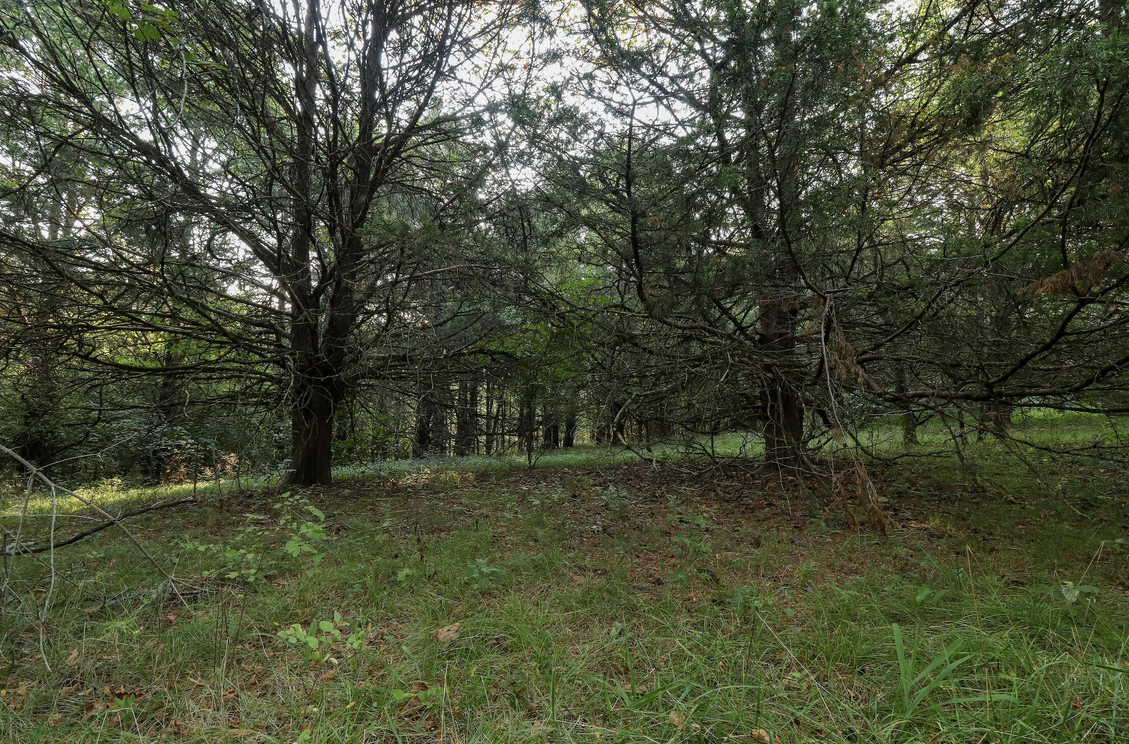 000 Quiet Acres Road Property Photo 25