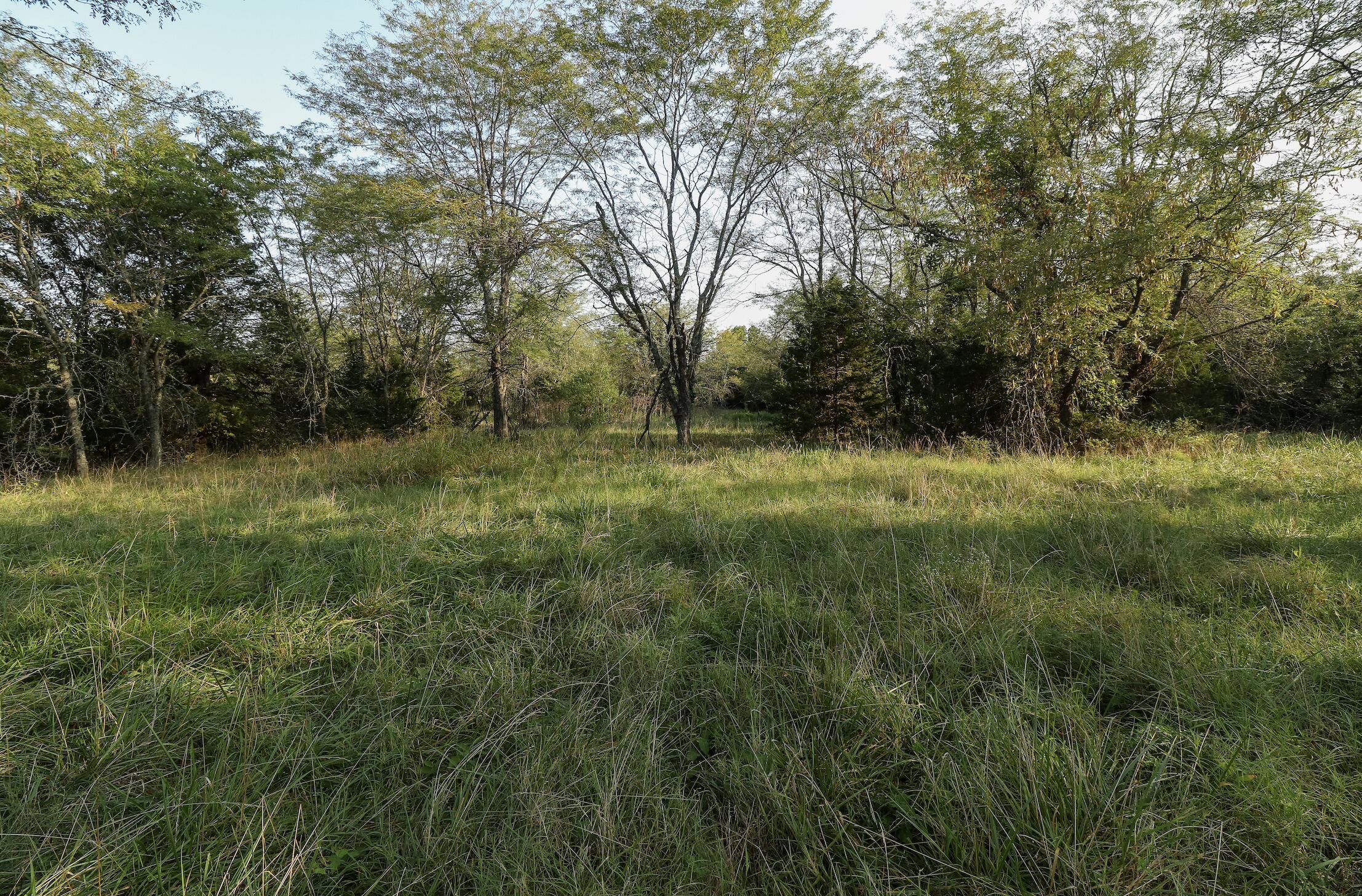 000 Quiet Acres Road Property Photo 29