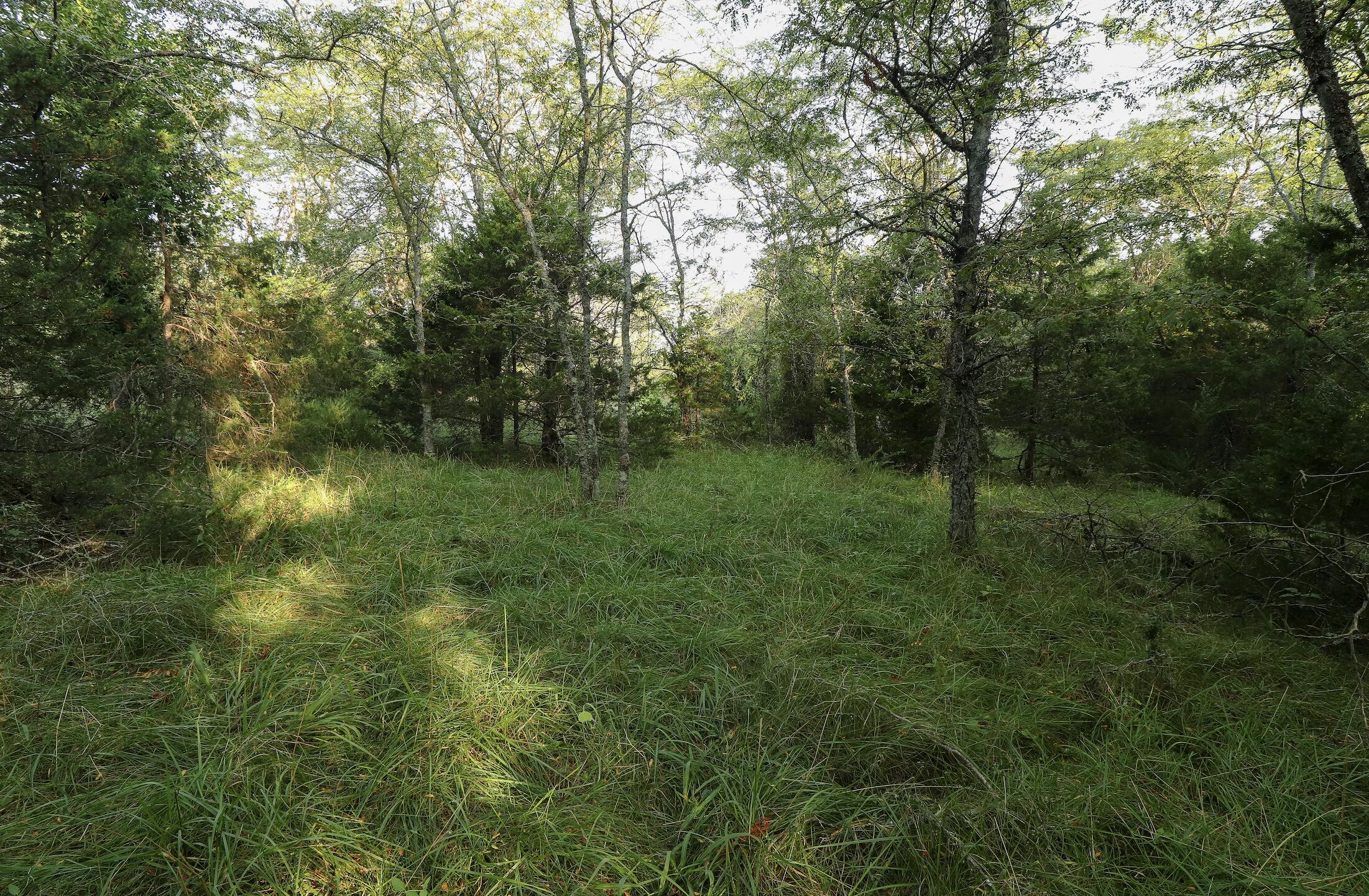 000 Quiet Acres Road Property Photo 31