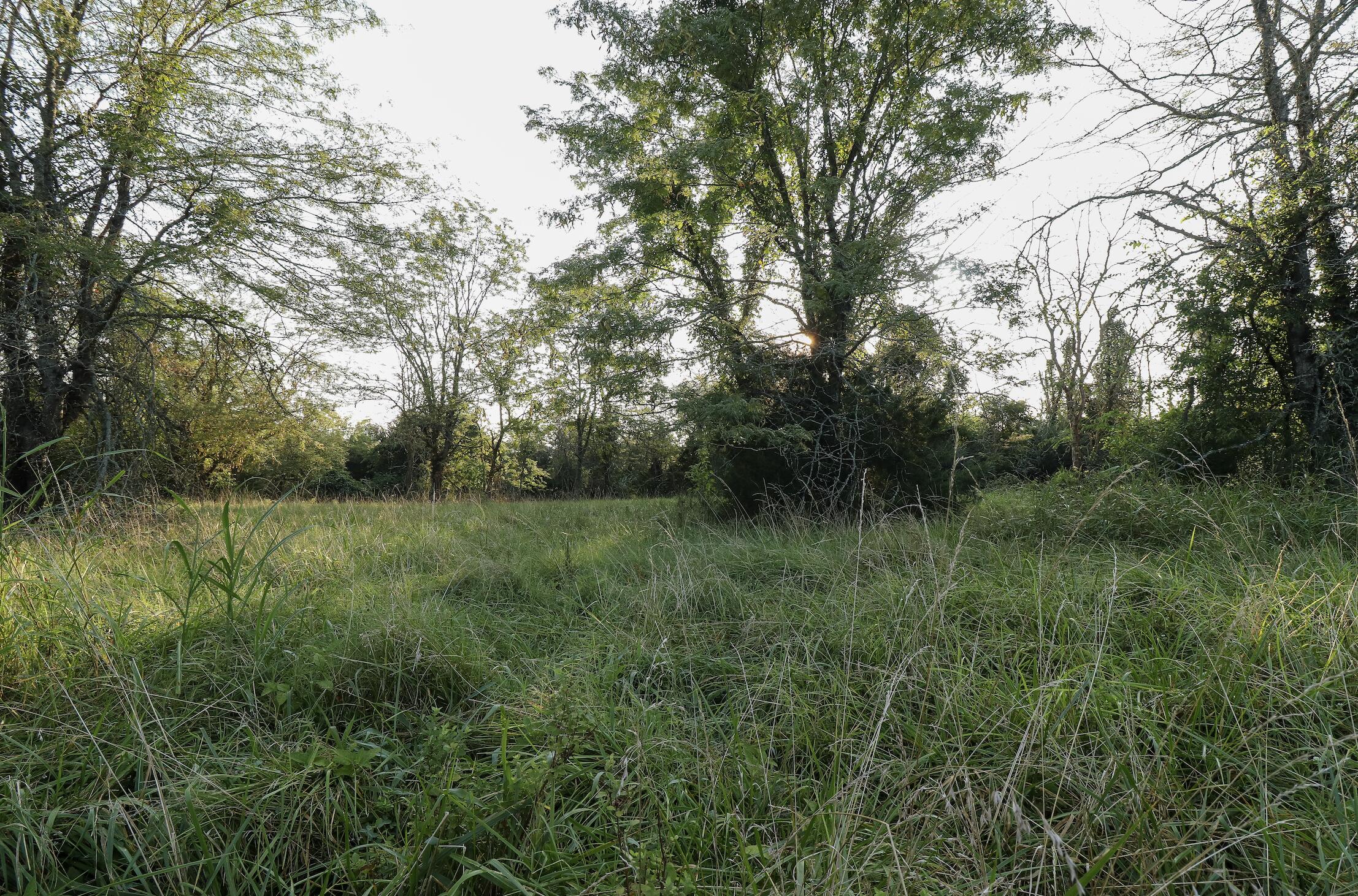 000 Quiet Acres Road Property Photo 34