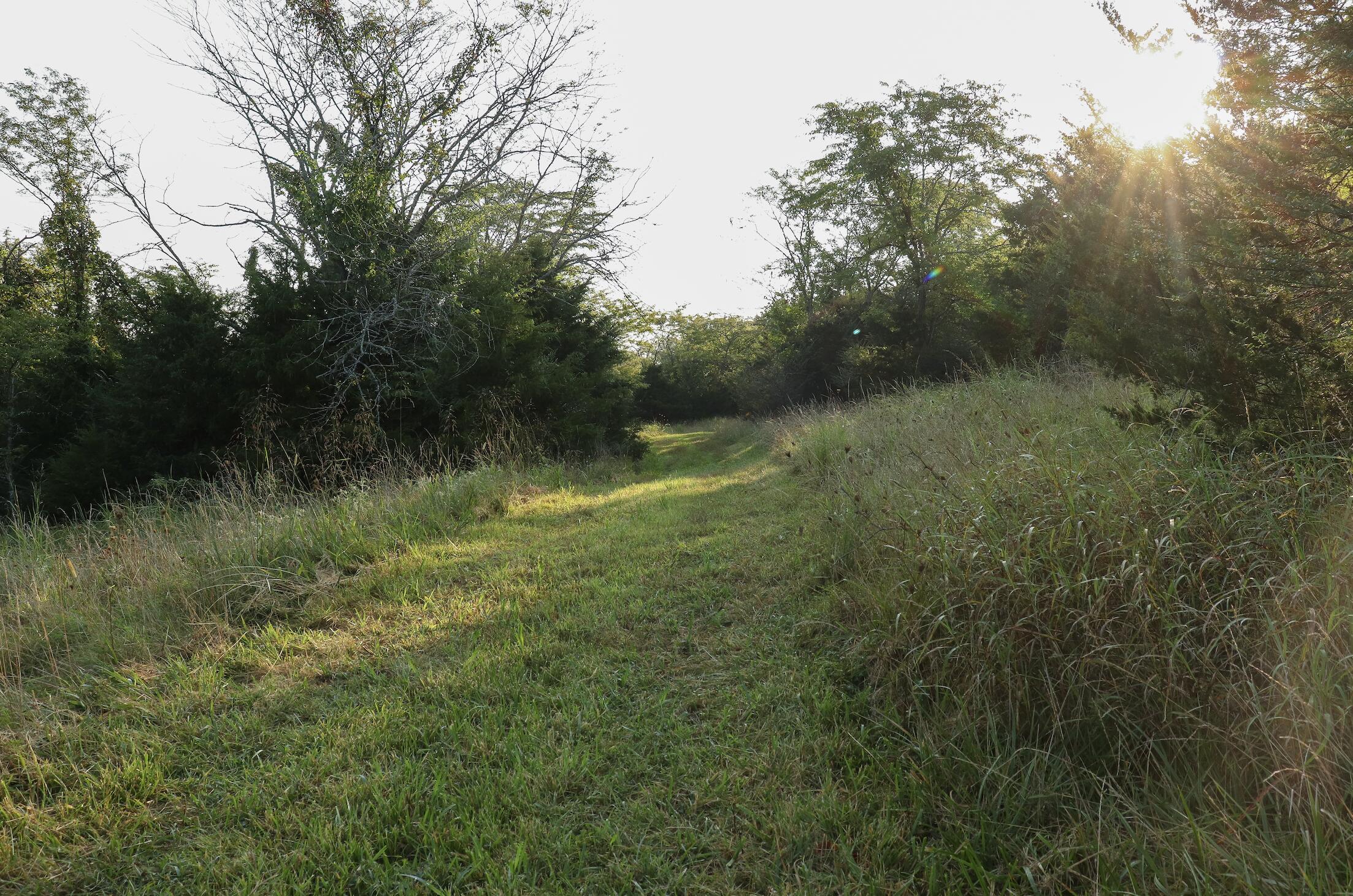 000 Quiet Acres Road Property Photo 35