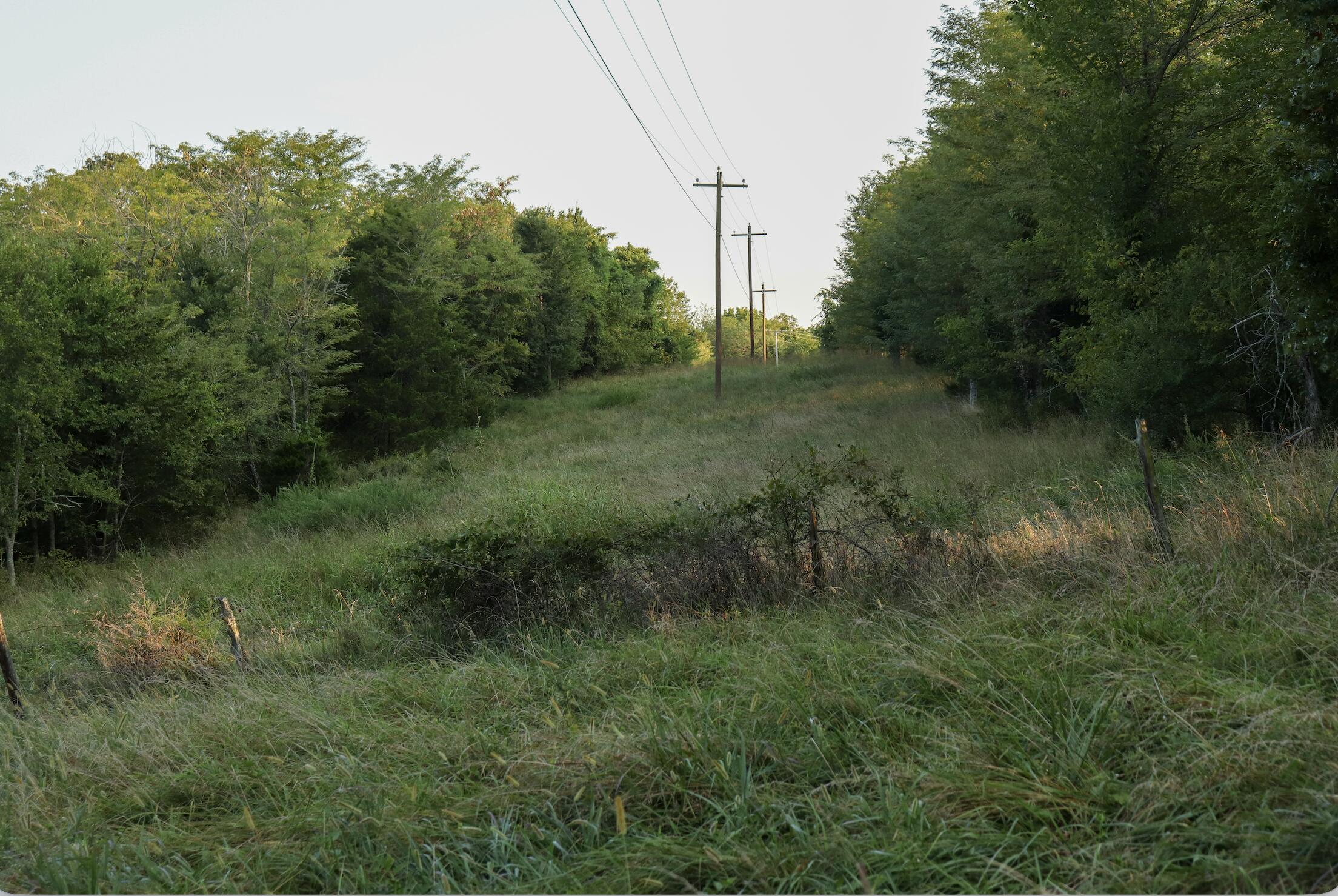 000 Quiet Acres Road Property Photo 51