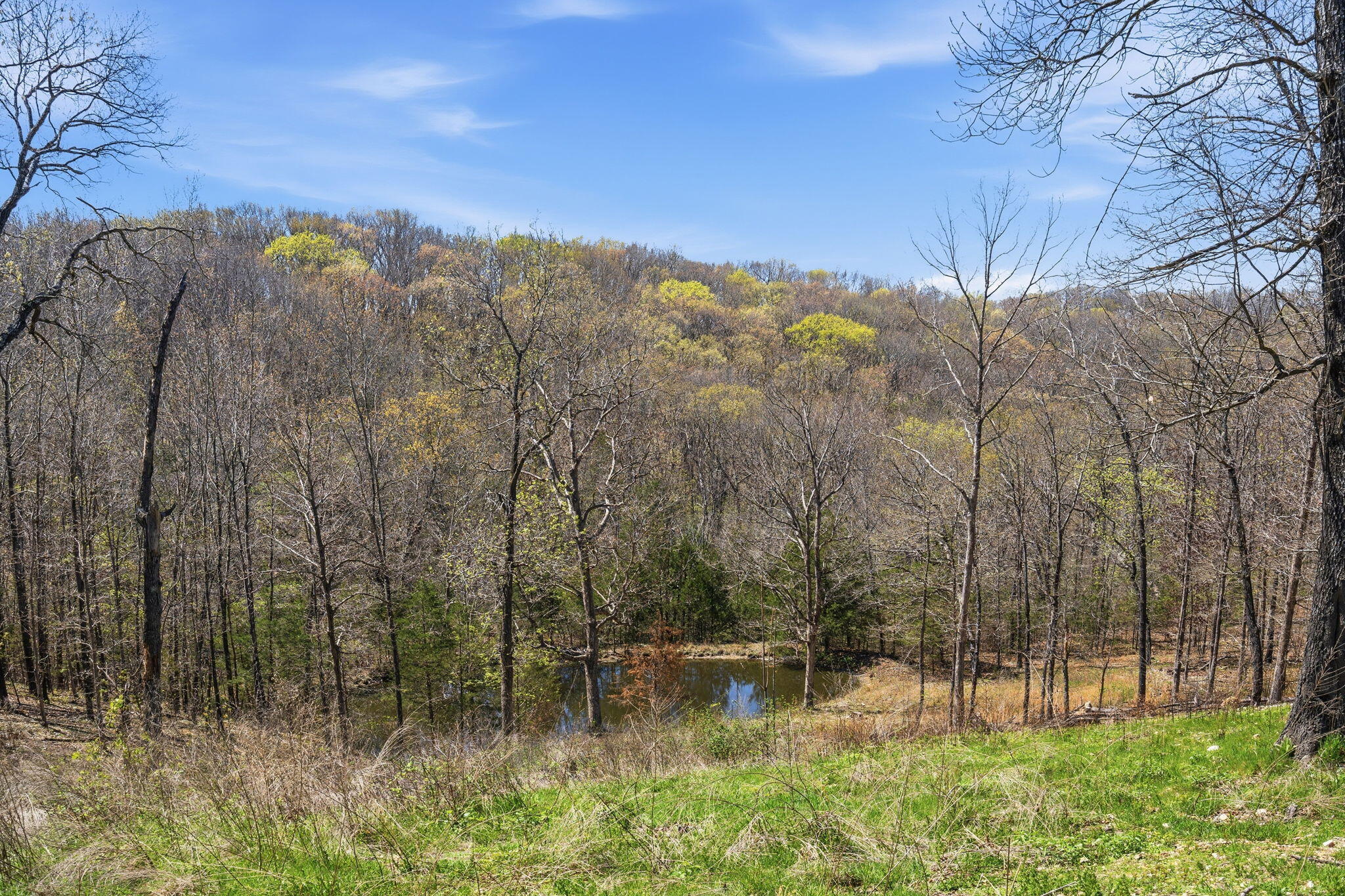 1329 South State Highway Uu Property Photo 27