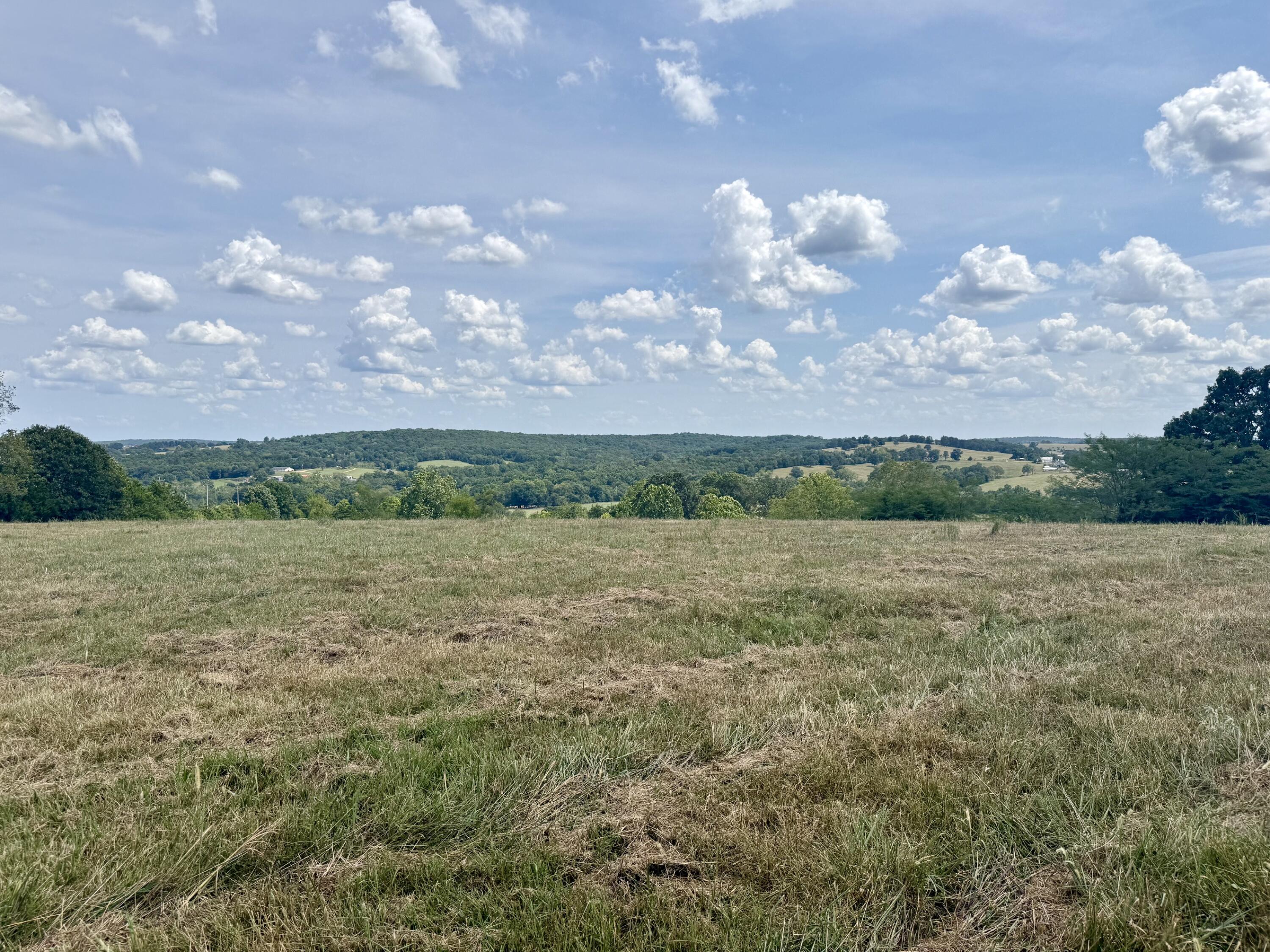 000 Hwy M Tract C-1 Property Photo 6