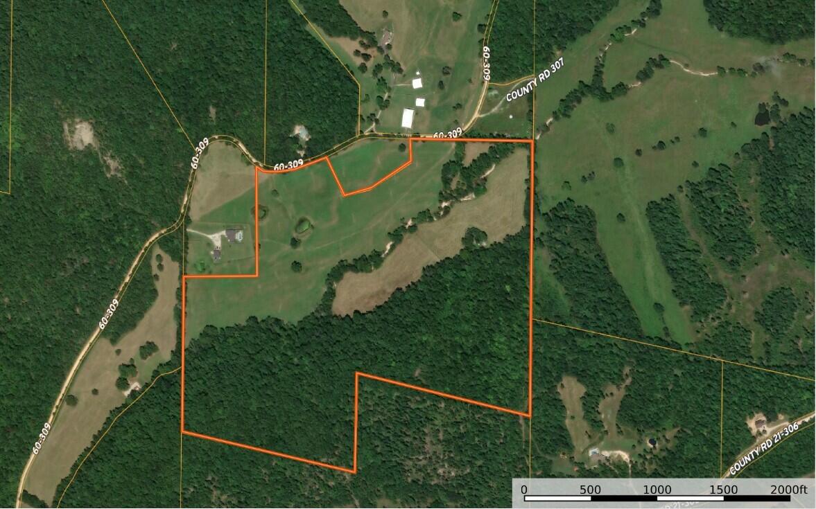000 County Road 309 Property Photo 5