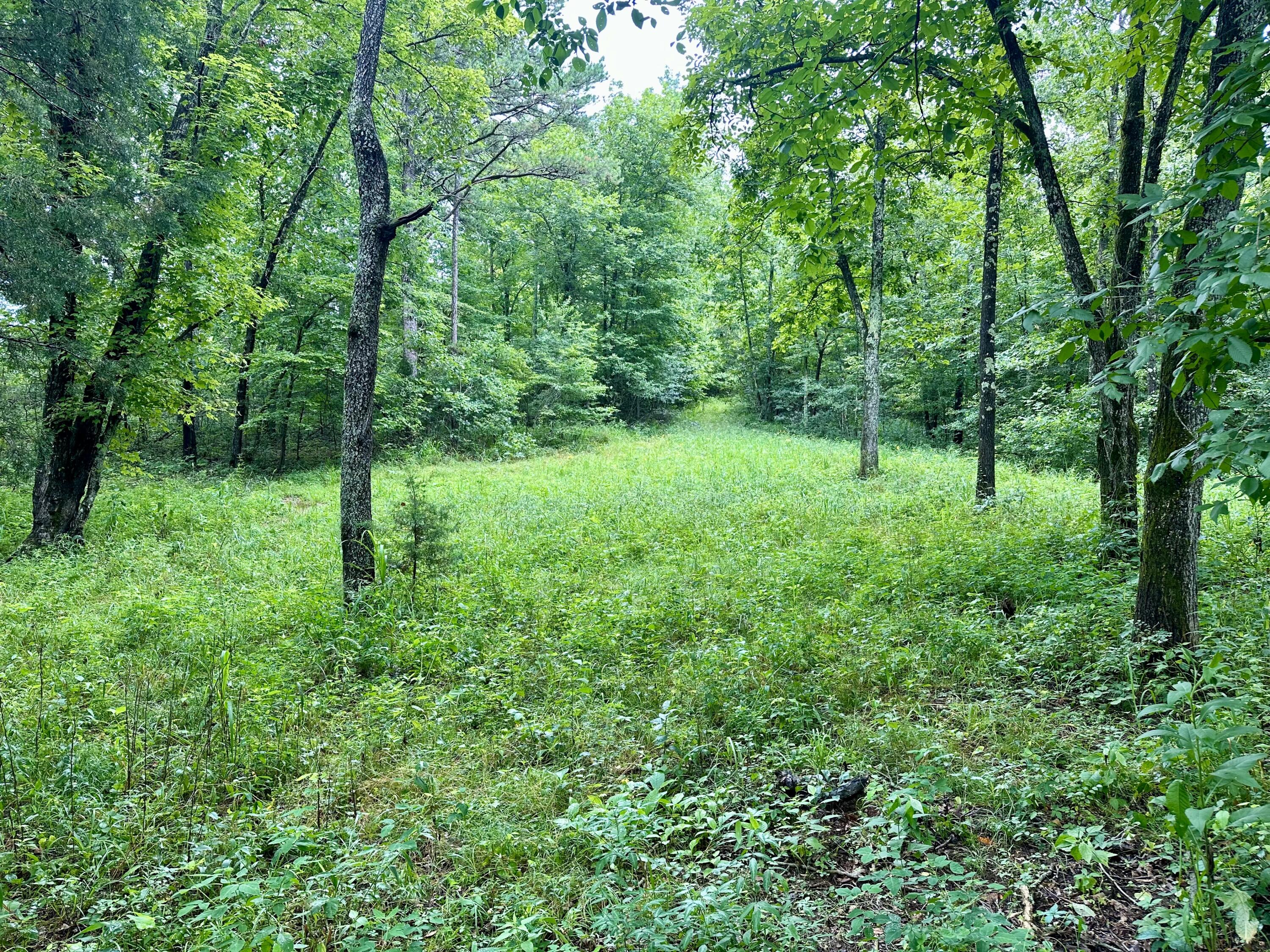 000 County Road 309 Property Photo 7