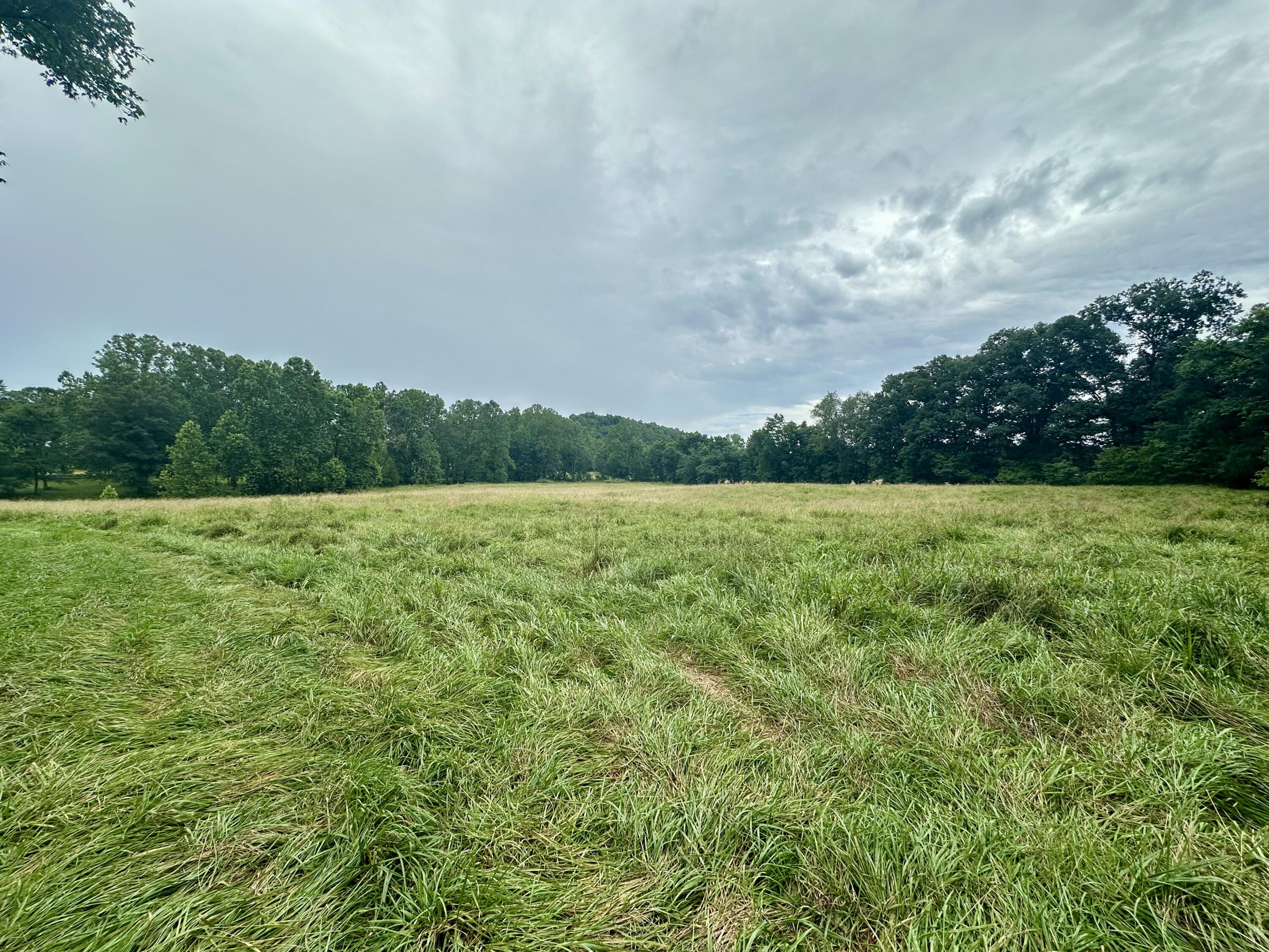 000 County Road 309 Property Photo 9
